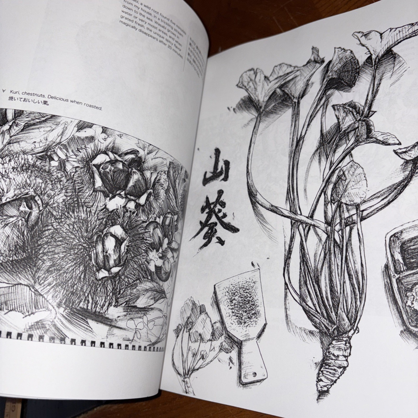 Japan 365 : A Drawing-A-Day Project by Mayze (2012, Trade Paperback)
