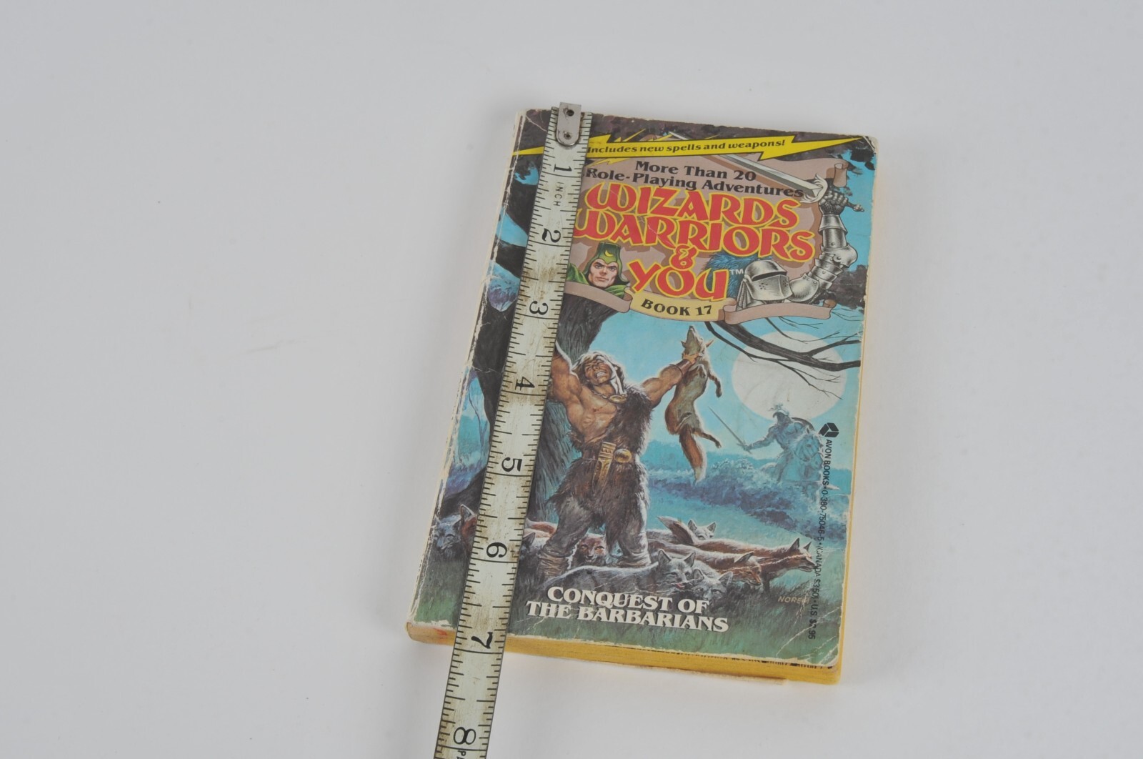 Wizards Warriors & You Book #17 Conquest Of The Barbarians First Printing 1986