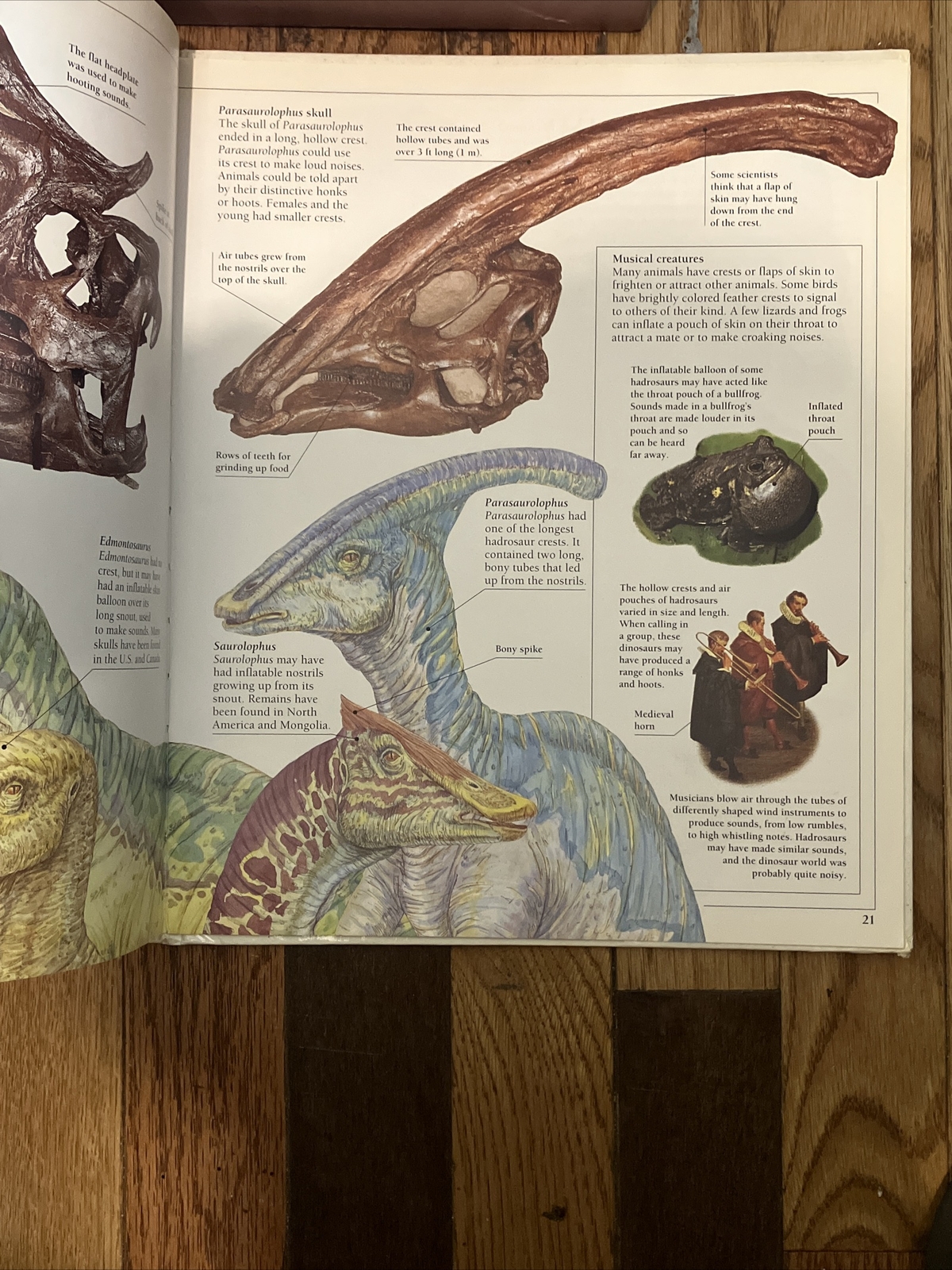 Corythosaurus by William Lindsay 1993 1st Ed. DK Publishers Hardcover