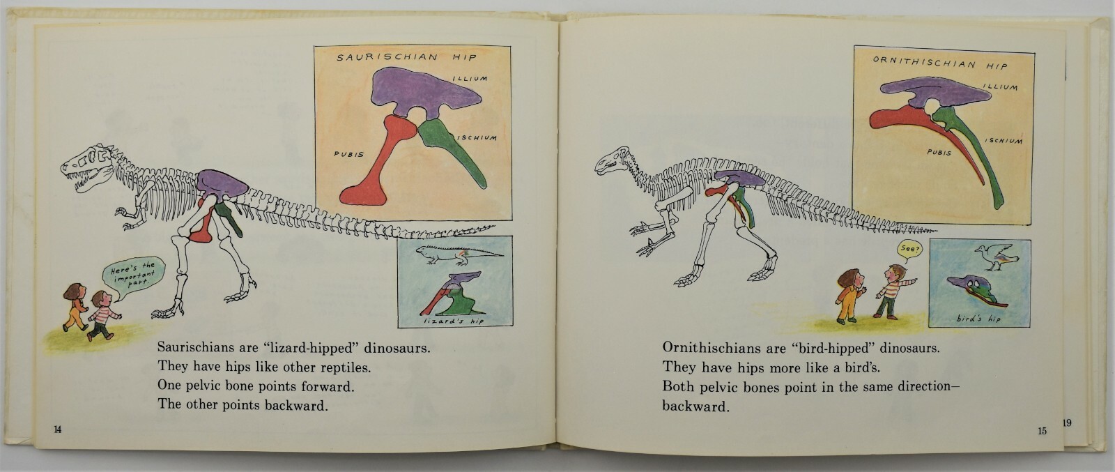 Dinosaurs Are Different by Aliki ~ Lets read and find out Science Book