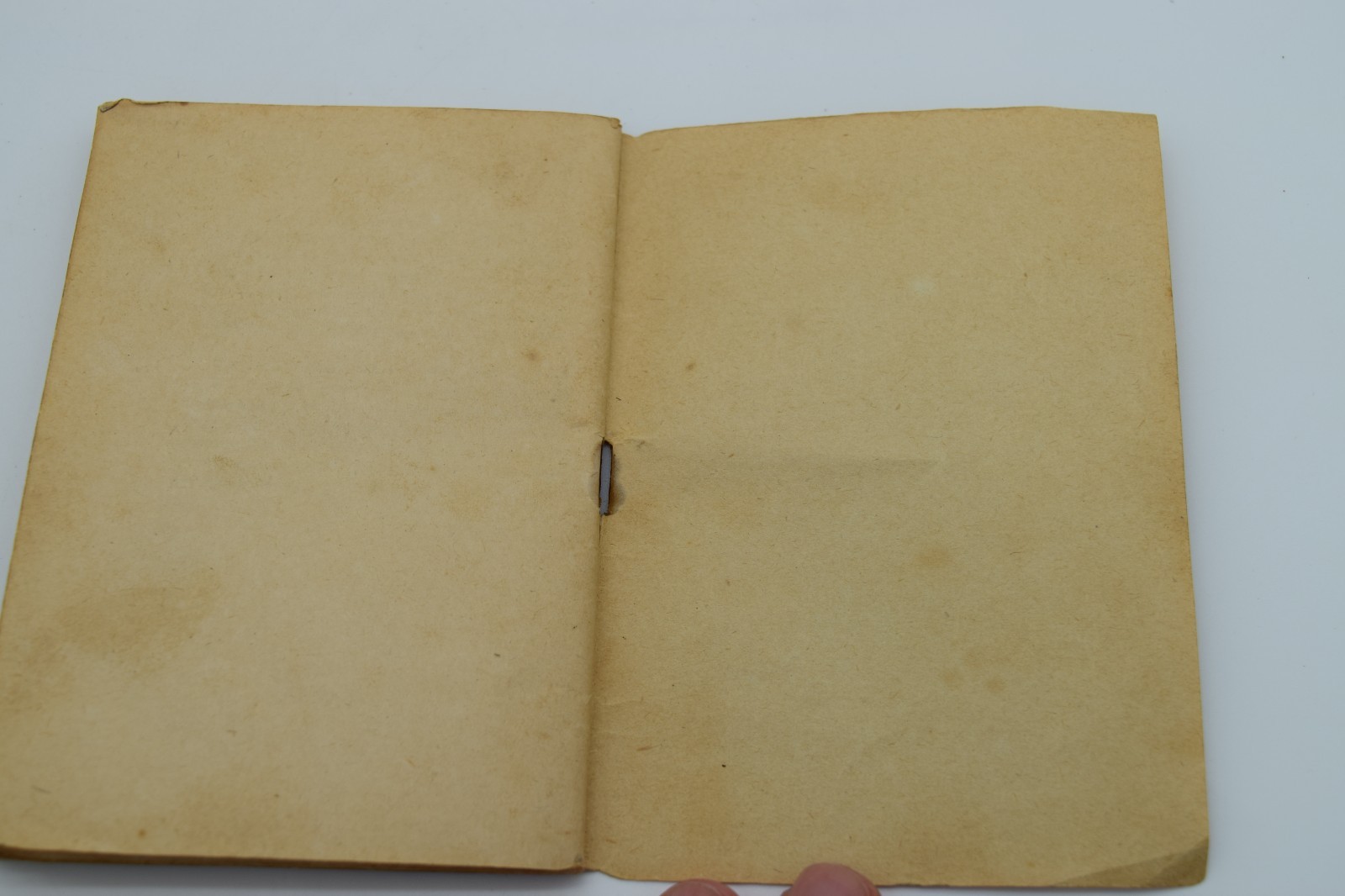 A Seraphic Flower Sister Maria Assunta Franciscan Missionary 1923 62 Pages