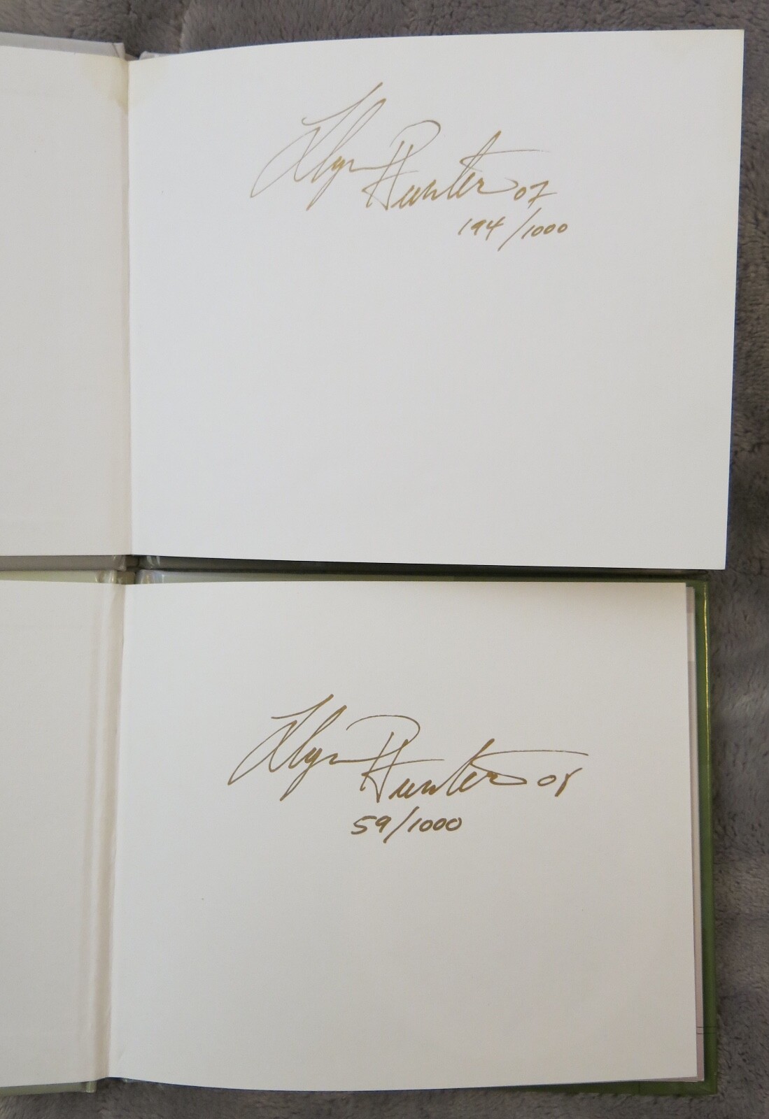 A Little Book Of Monsters & Magical Beings By Llyn Hunter – SIGNED