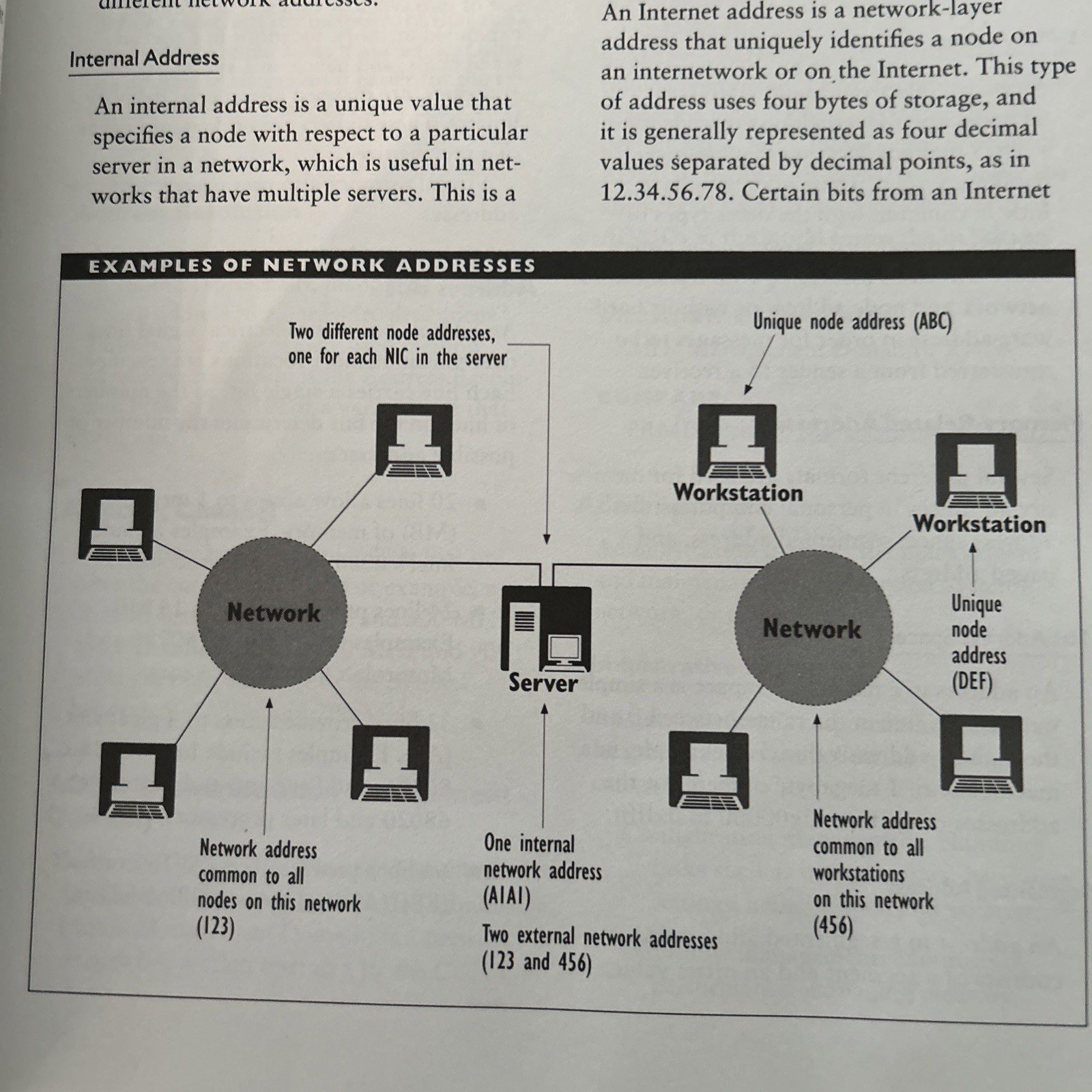 The Encyclopedia of Networking By Werner Feibel