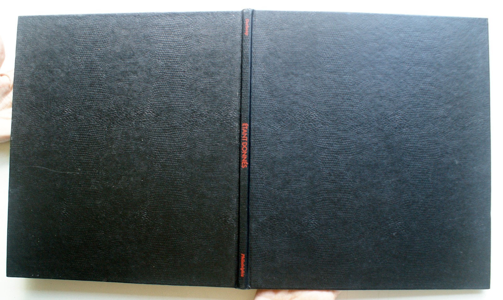 Manual of Instructions Of Etant Donnes Marcel Duchamp 1987 Phil Mus of Art [377]