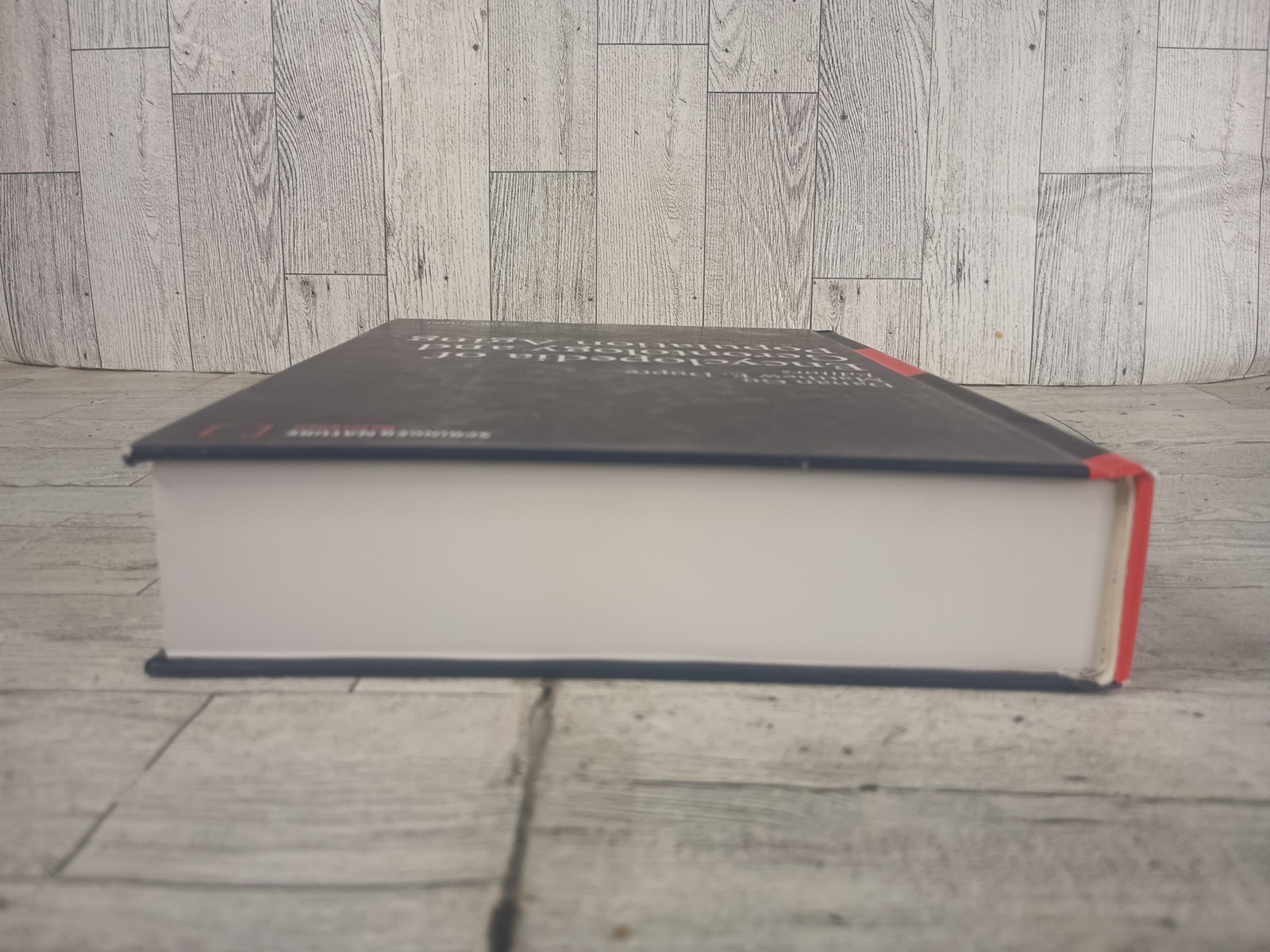 Encyclopedia of Gerontology and Population Aging Volume 6: P-R English Hardcover