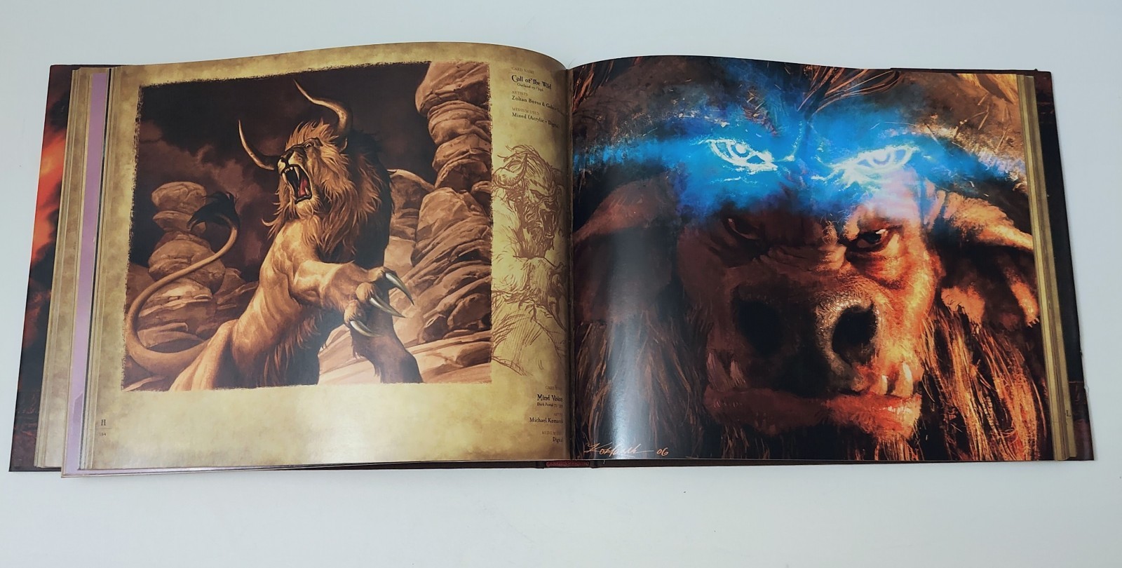 World Of Warcraft The Art Of The Trading Card Game Vol. 1 Hardcover Book