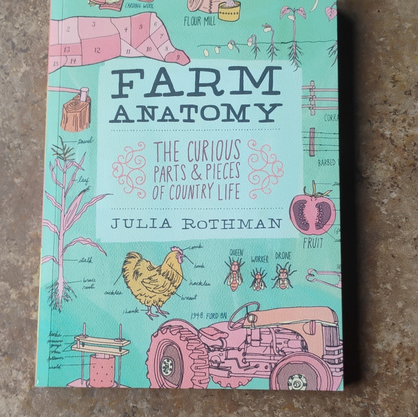 Julia Rothman Collection 3 Book Box Set Nature Food Farm Anatomy