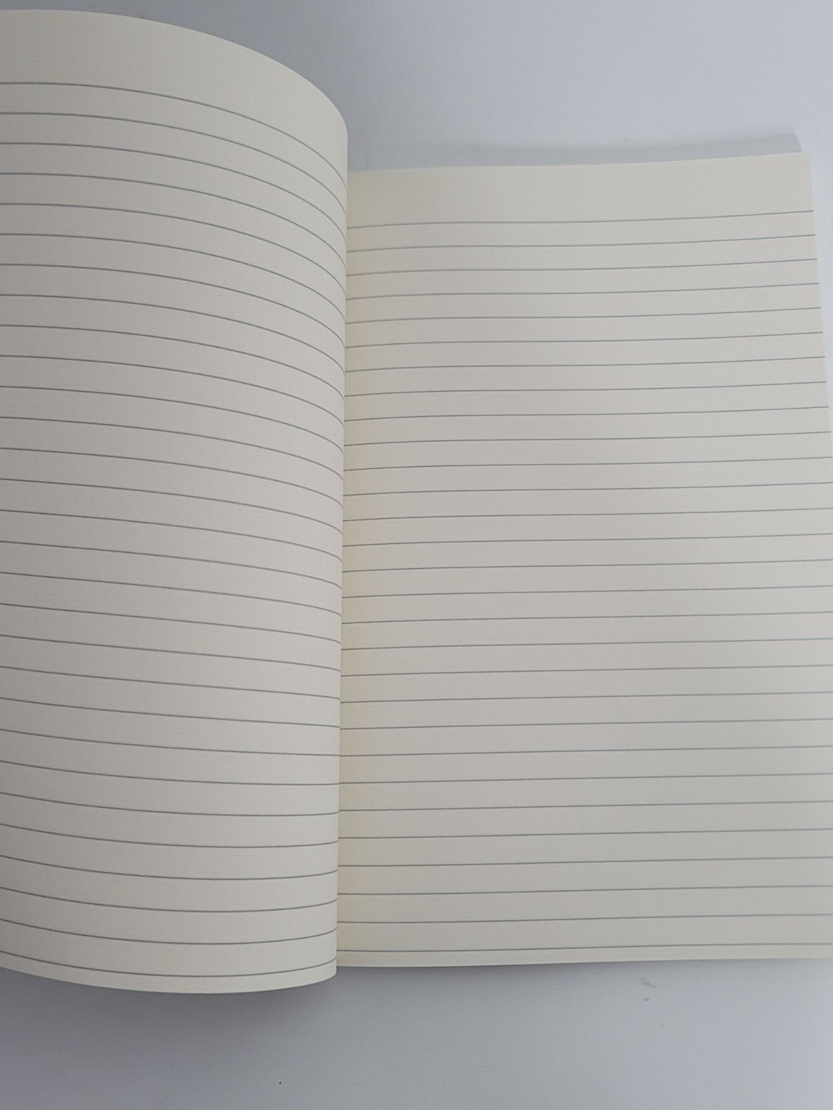 Texas State Park Camping Journal Planner Vacation Stories Blank Lined Notebook