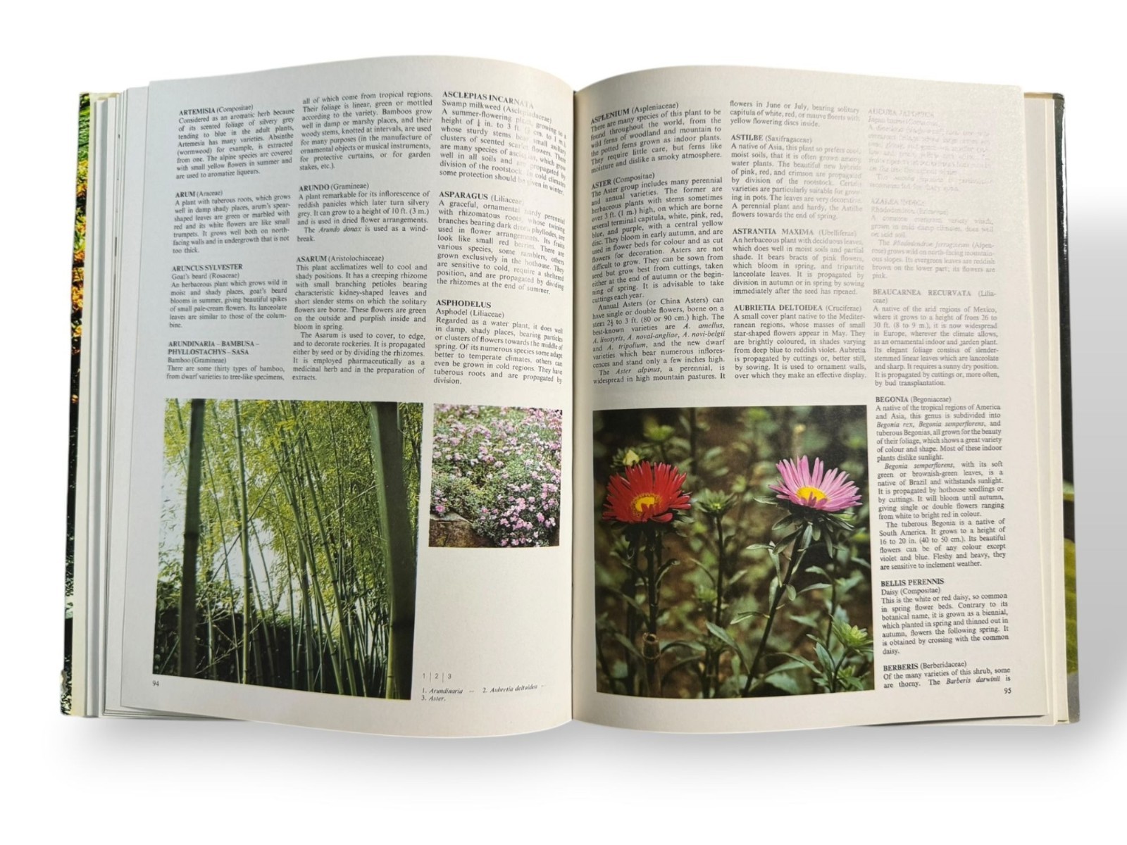 Plants & Flowers Vintage Gardening Hardcover Book W/Dust Jacket – 1974