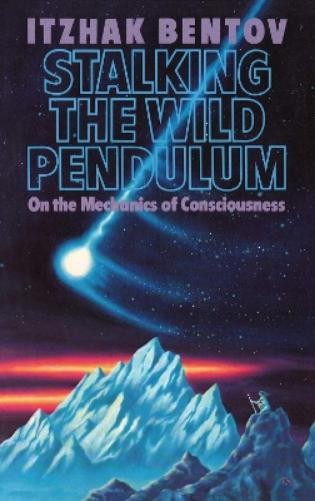 Itzhak Bentov Stalking the Wild Pendulum (Paperback) (UK IMPORT)