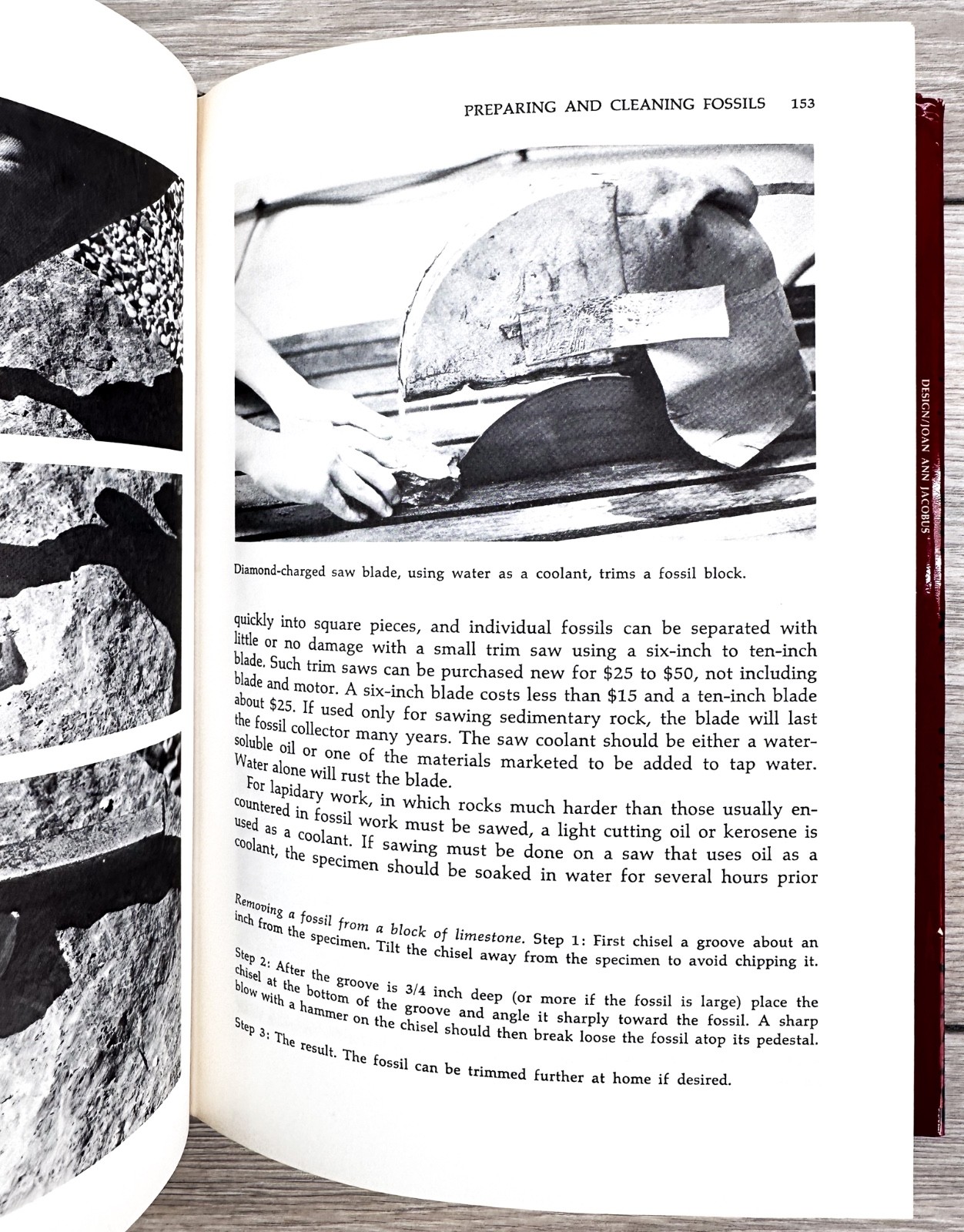 Fossils for Amateurs MacFall Wollin 1972 First Edition HC w/ DJ Van Nostrand