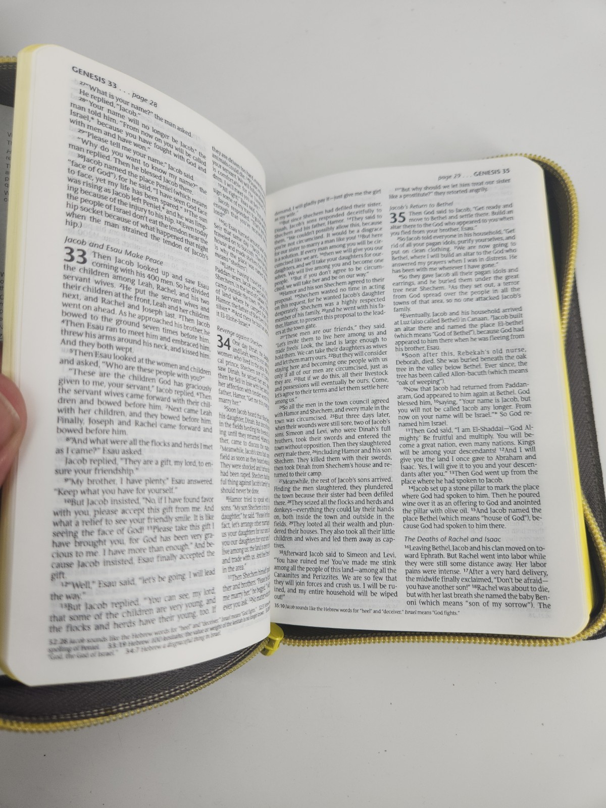 Zips Bible NLT (Canvas, Charcoal/Yellow) by Tyndale