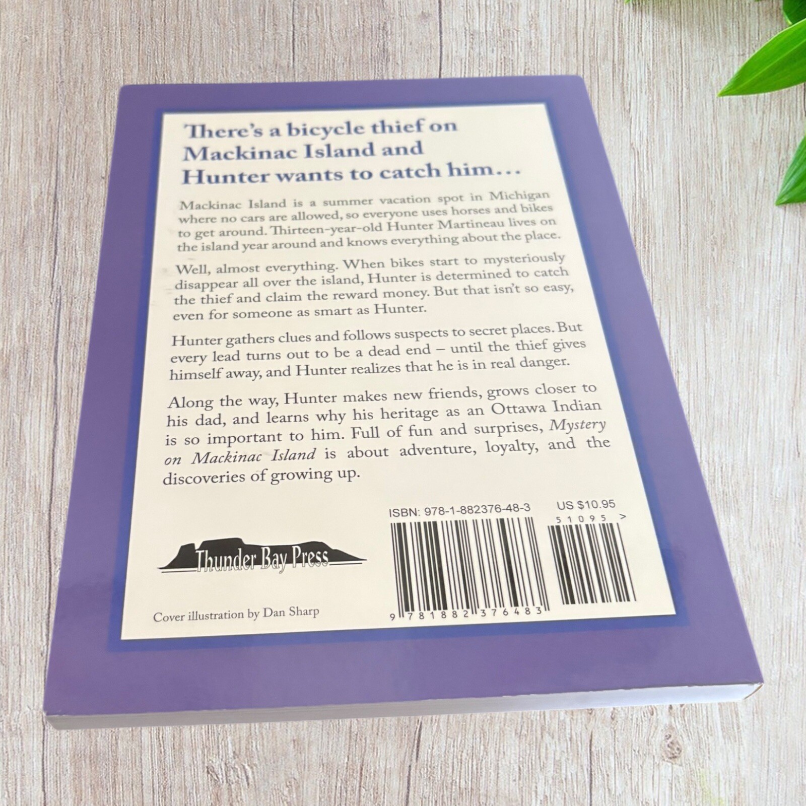 Mystery on MacKinac Island by Anne W. Hale Paperback