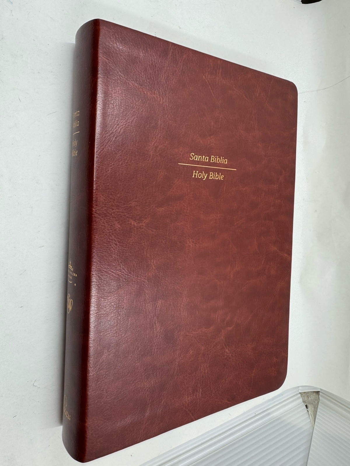 Biblia Bilingüe Reina Valera 1960 (ESV) Bilingual Bible/Print Brown index
