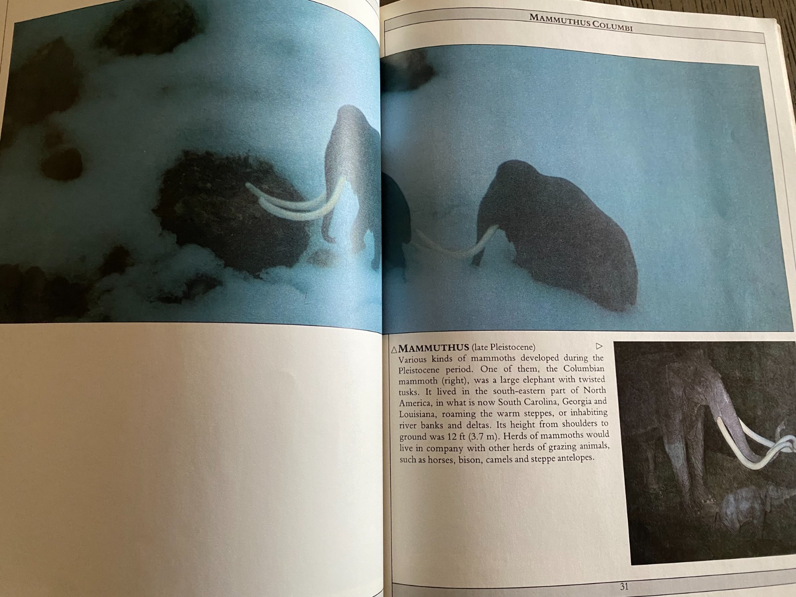 Prehistoric Monsters Dinosaur Book 1987 Jean-Philippe Varin Illustrated PB