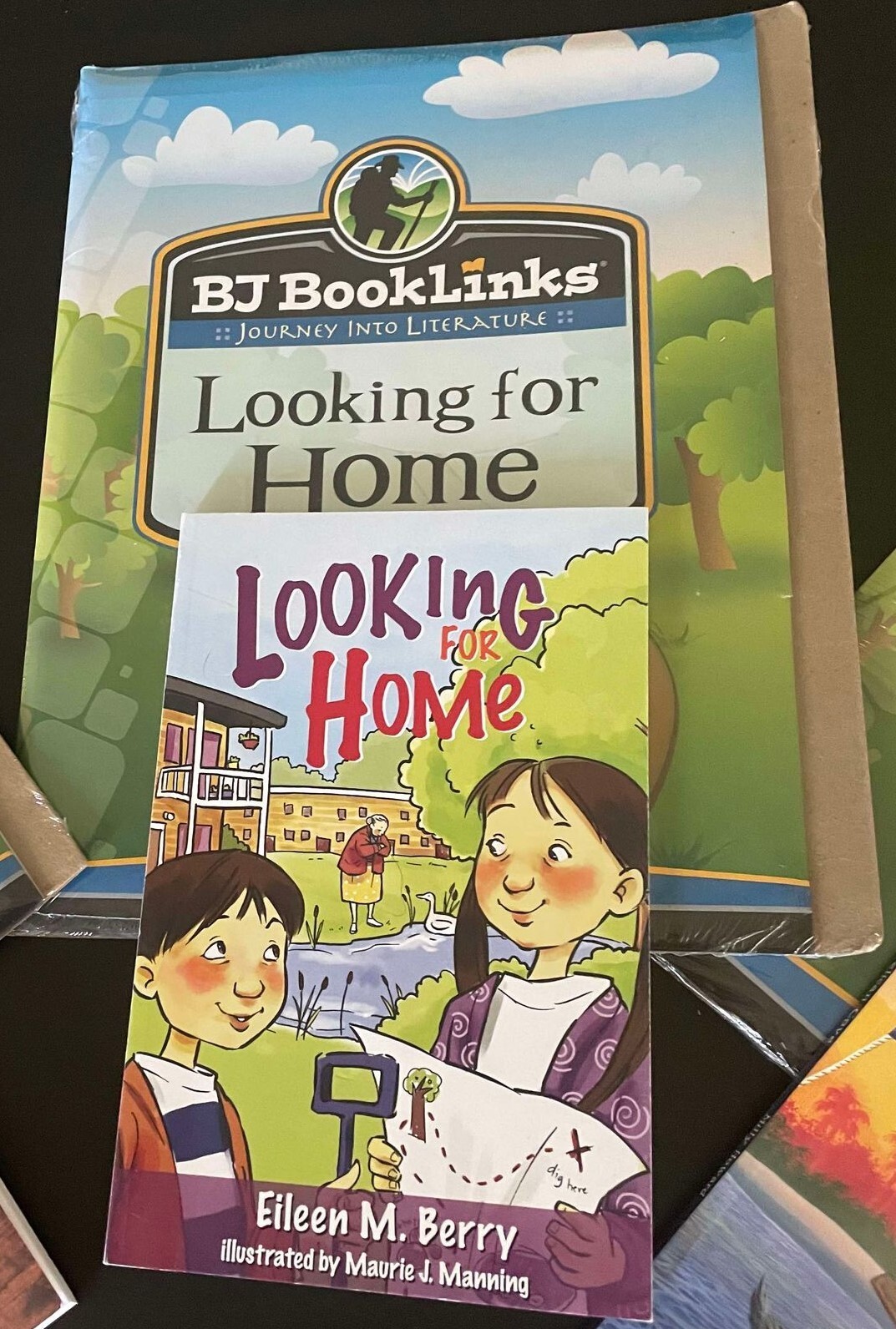 Bob Jones Booklinks Journey Into Literature Set
