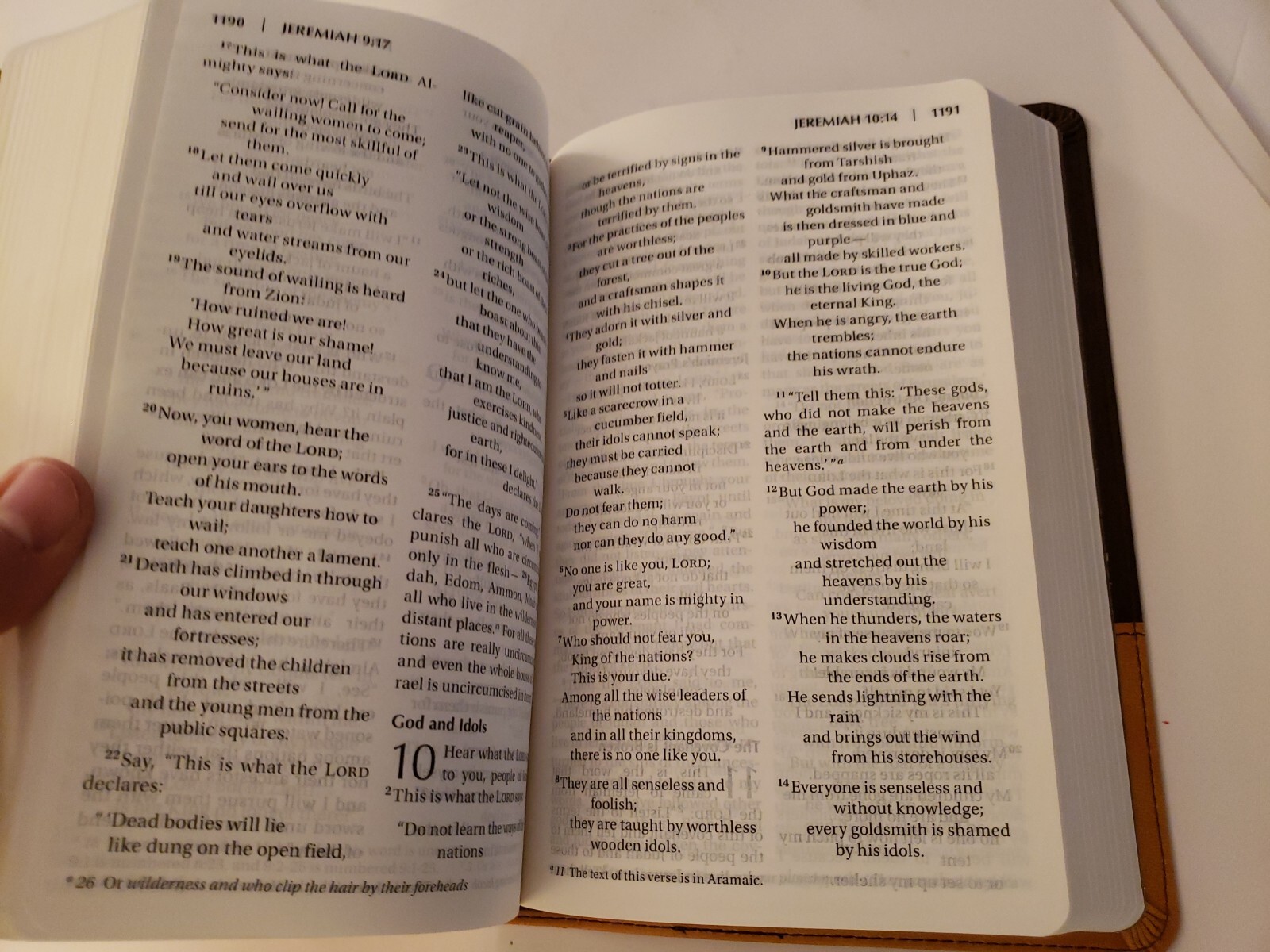 NIV LP Chocolate Amber Holy Bible Large Print