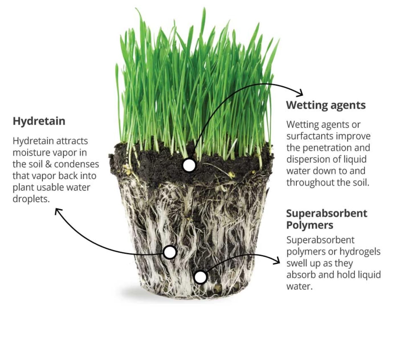 Hydretain Root Zone Moisture Manager – Eco-Friendly 32 Oz for Gardens & Lawns