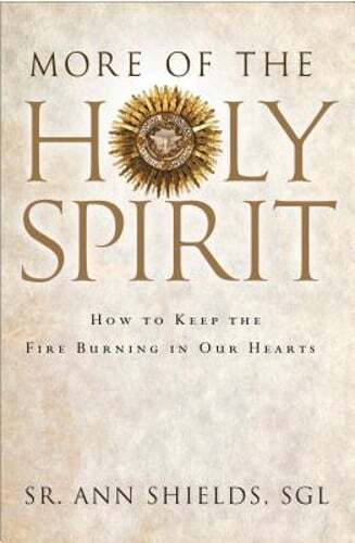 More of the Holy Spirit: How to Keep the Fire Burning in Our Hearts: Used