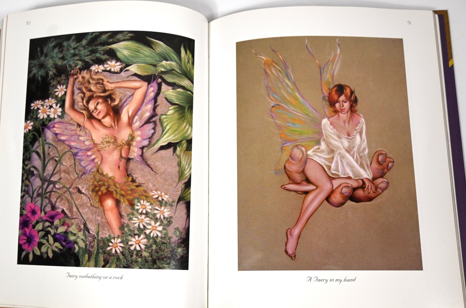 LOT 5 HC BOOKS on FAIRIES Faery Stone FANTASY ART ILLUSTRATIONS POEMS STORIES