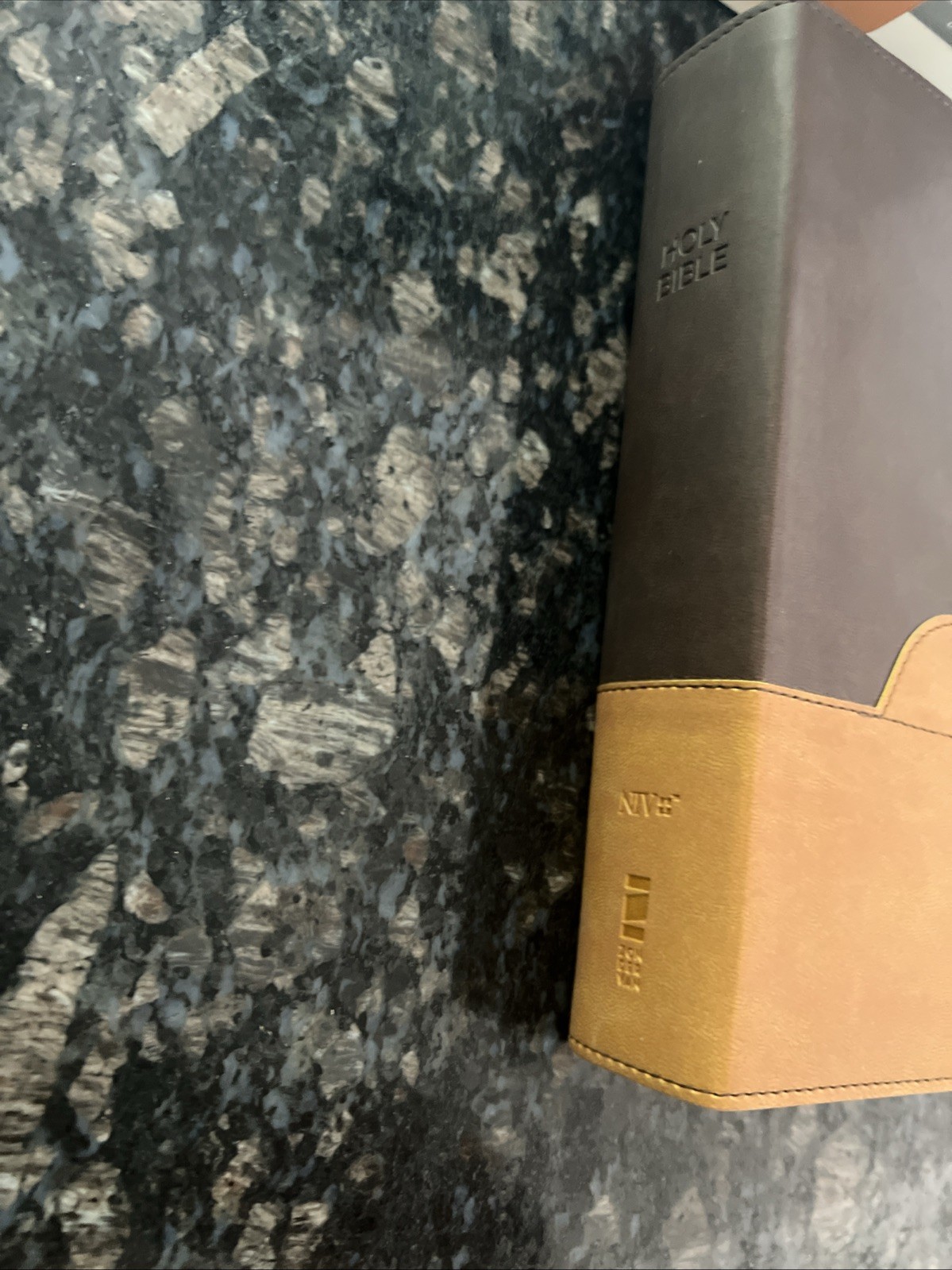 NIV Bible Personal Size Large Print Bible DuoTone Chocolate / Amber Leathersoft