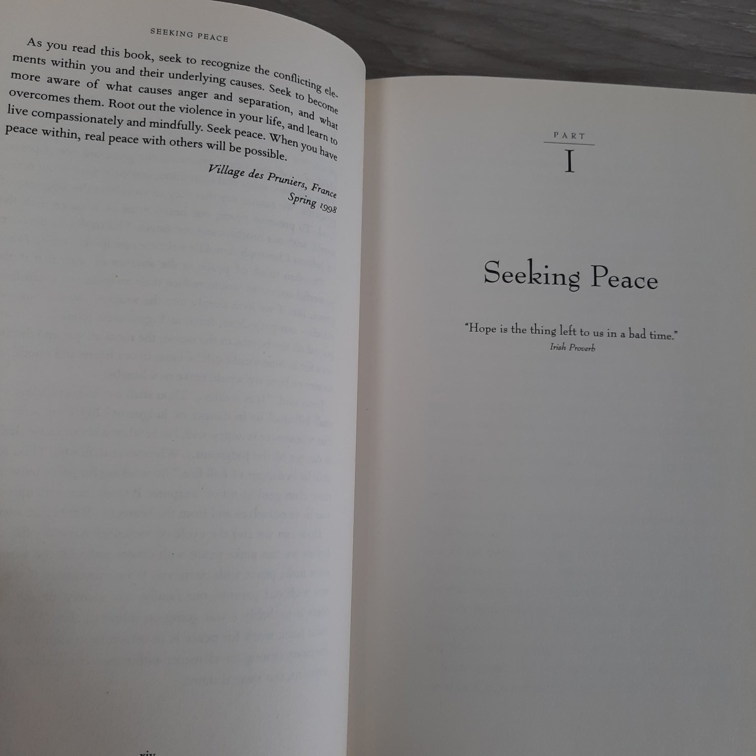 Seeking Peace Johann Christoph Arnold 1998 Spirituality Plough Publishing House