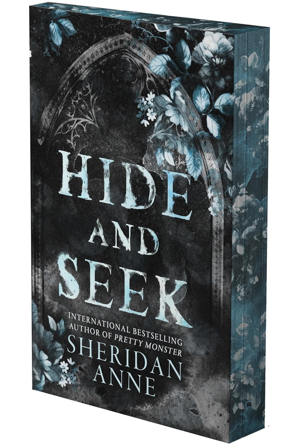 Hide and Seek: A Dark Stalker Romance Paperback by Anne, Sheridan