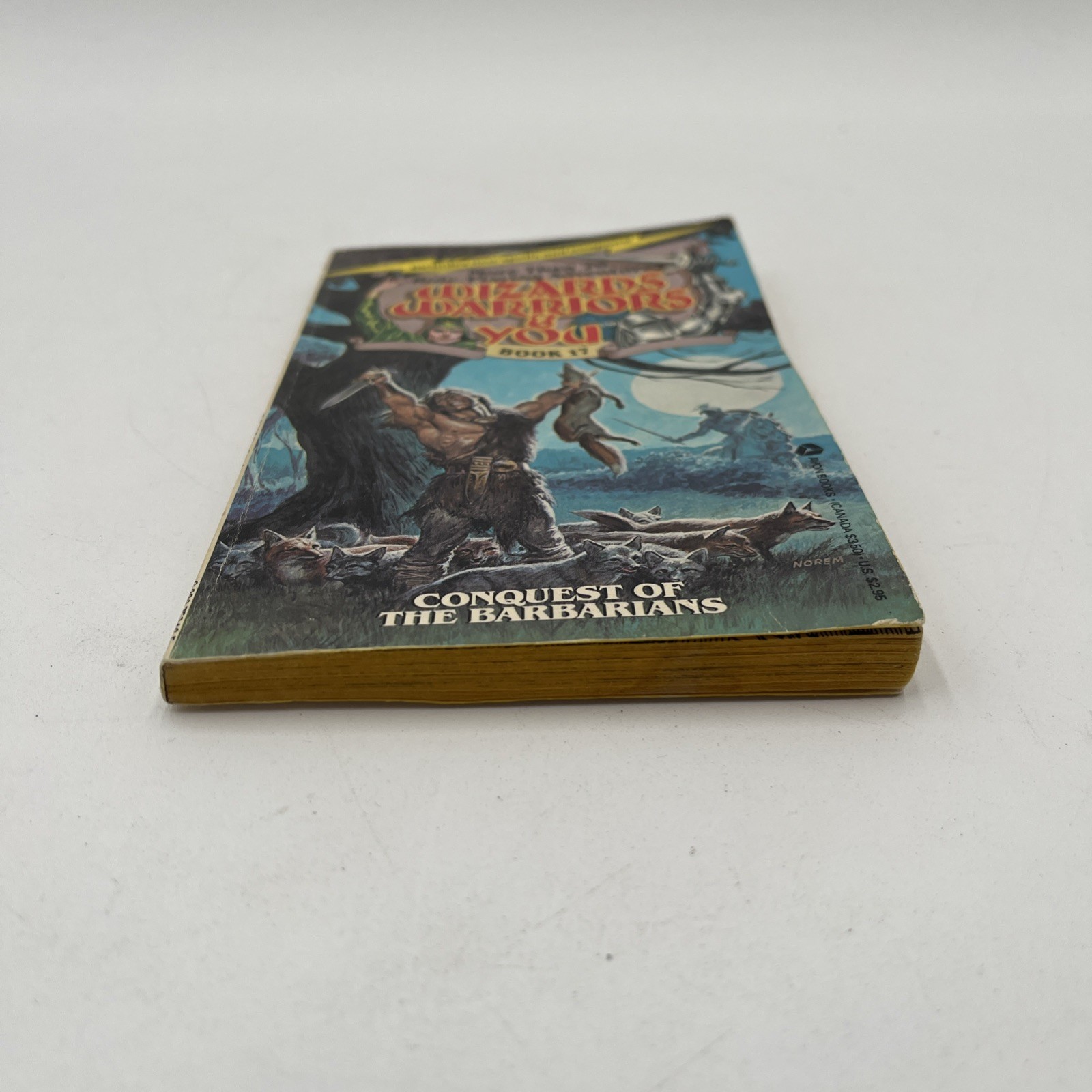 Wizards Warriors & You Book 17 Adventure Paperback Conquest Of The Barbarians
