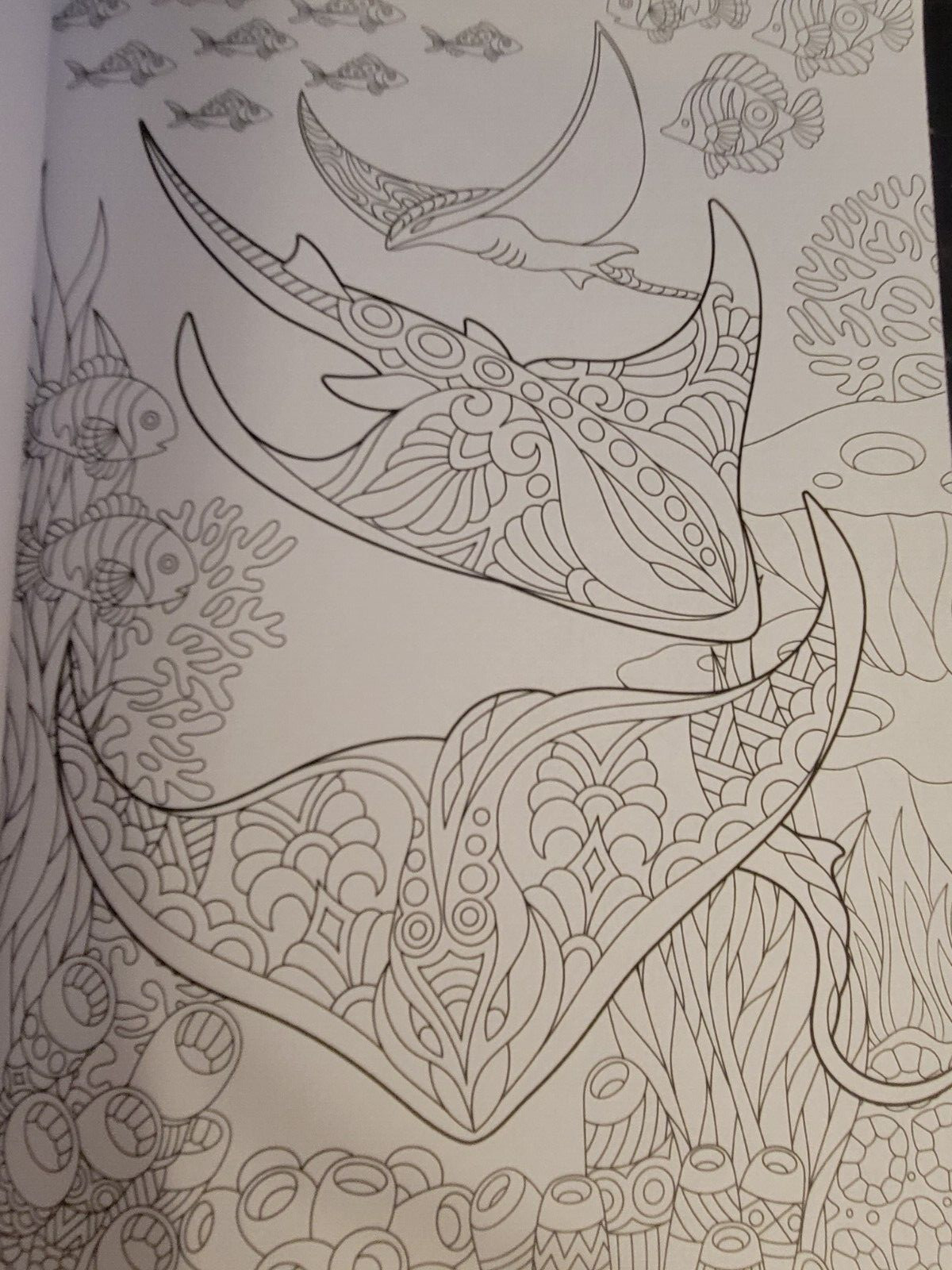 MAJESTIC CREATURES Vol. 18 Adult Coloring Book With 47 Prints Ready To Frame!