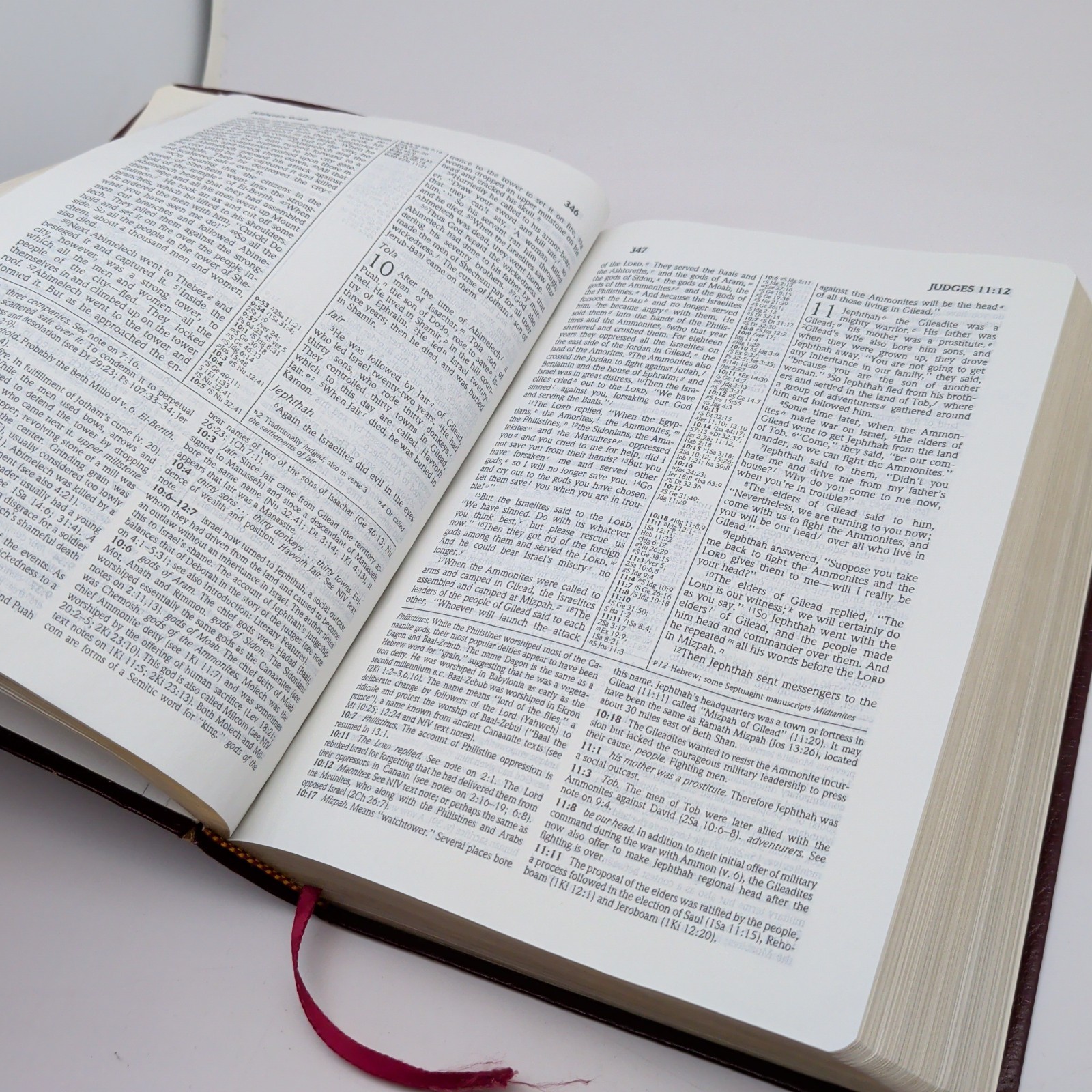 NIV Study Bible 1985 Leather Indexed New International Version Bonded Leather