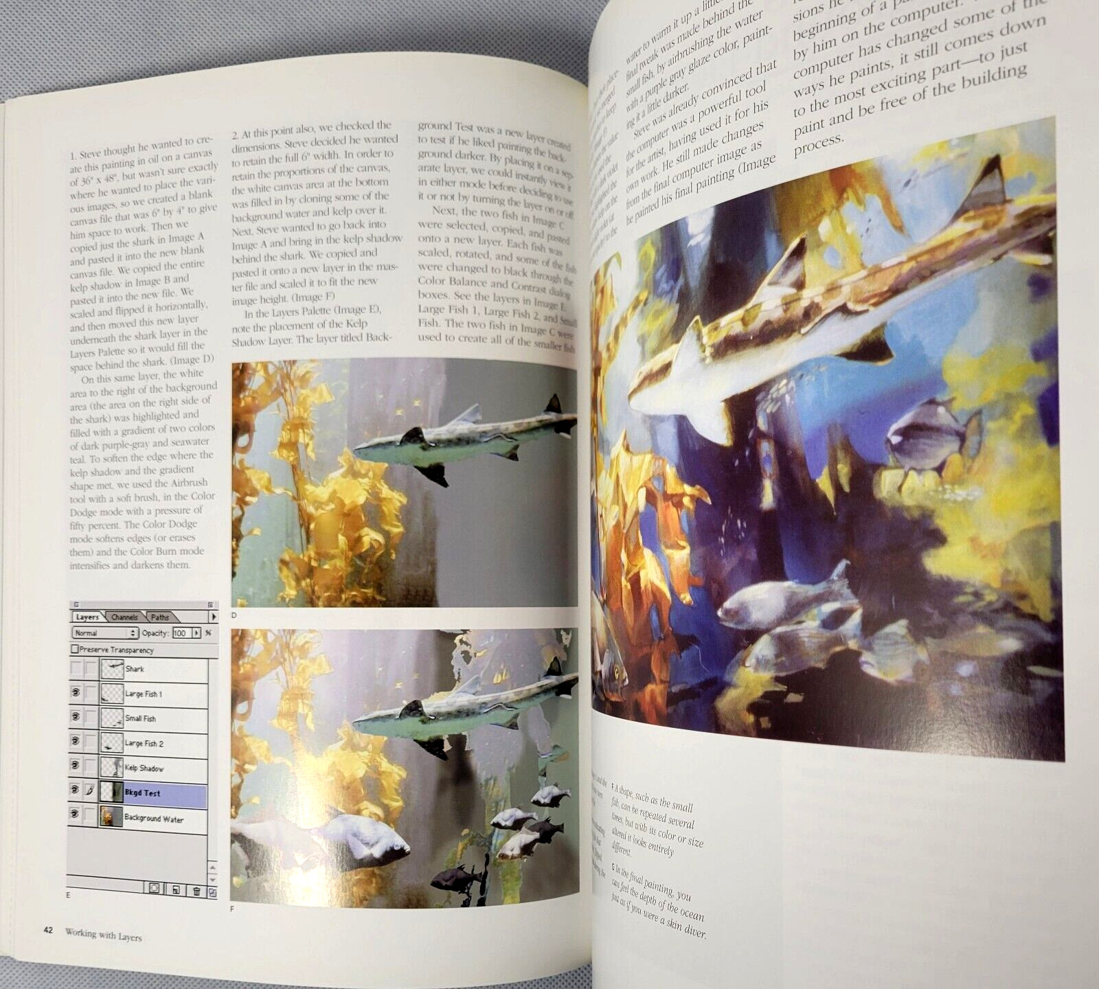 Creative Computer Tools for Artists by Jann Pollard (Using Software…Art) TPpbk