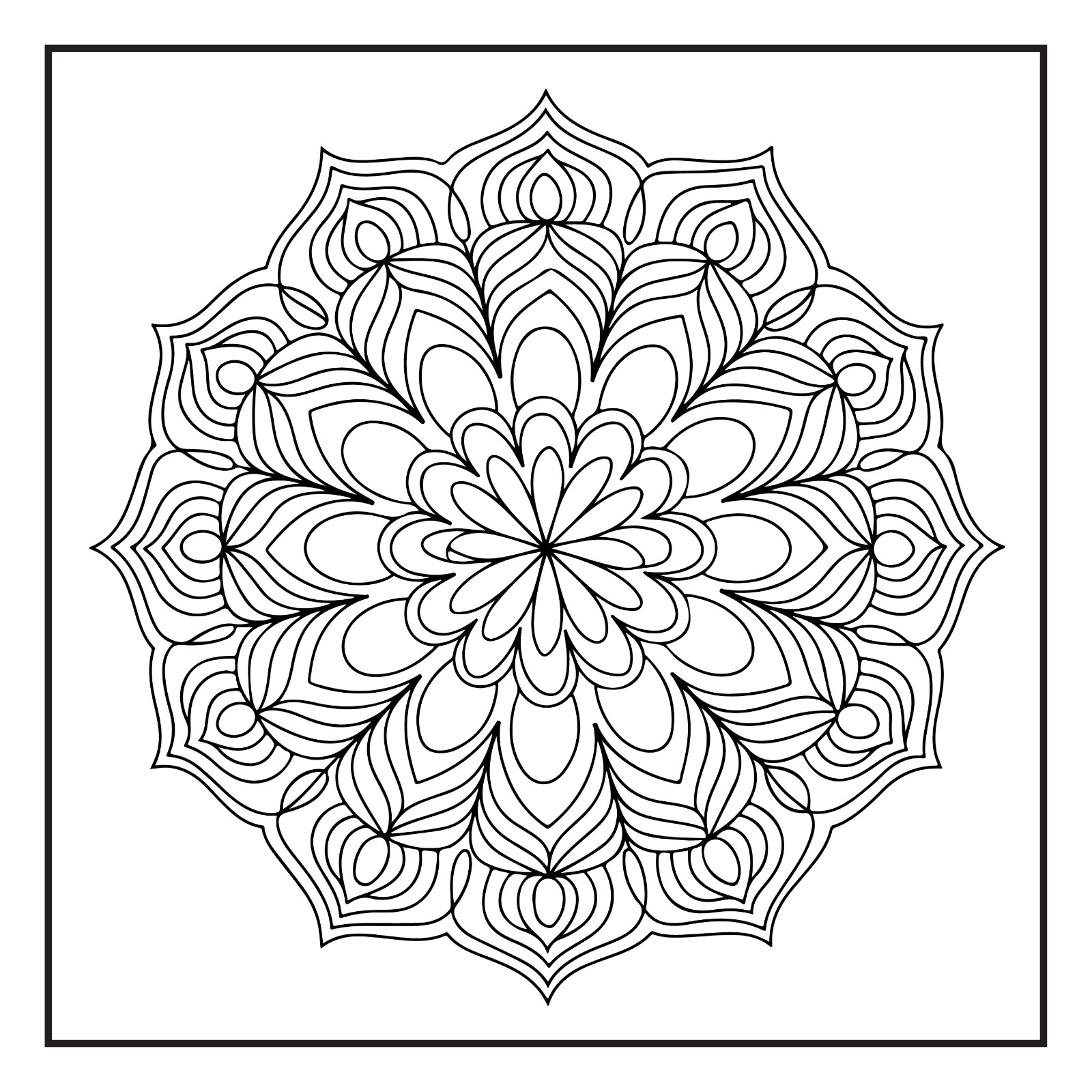 Rockridge Press Mindfulness Mandalas Coloring Book Spiral Bound Coloring Book