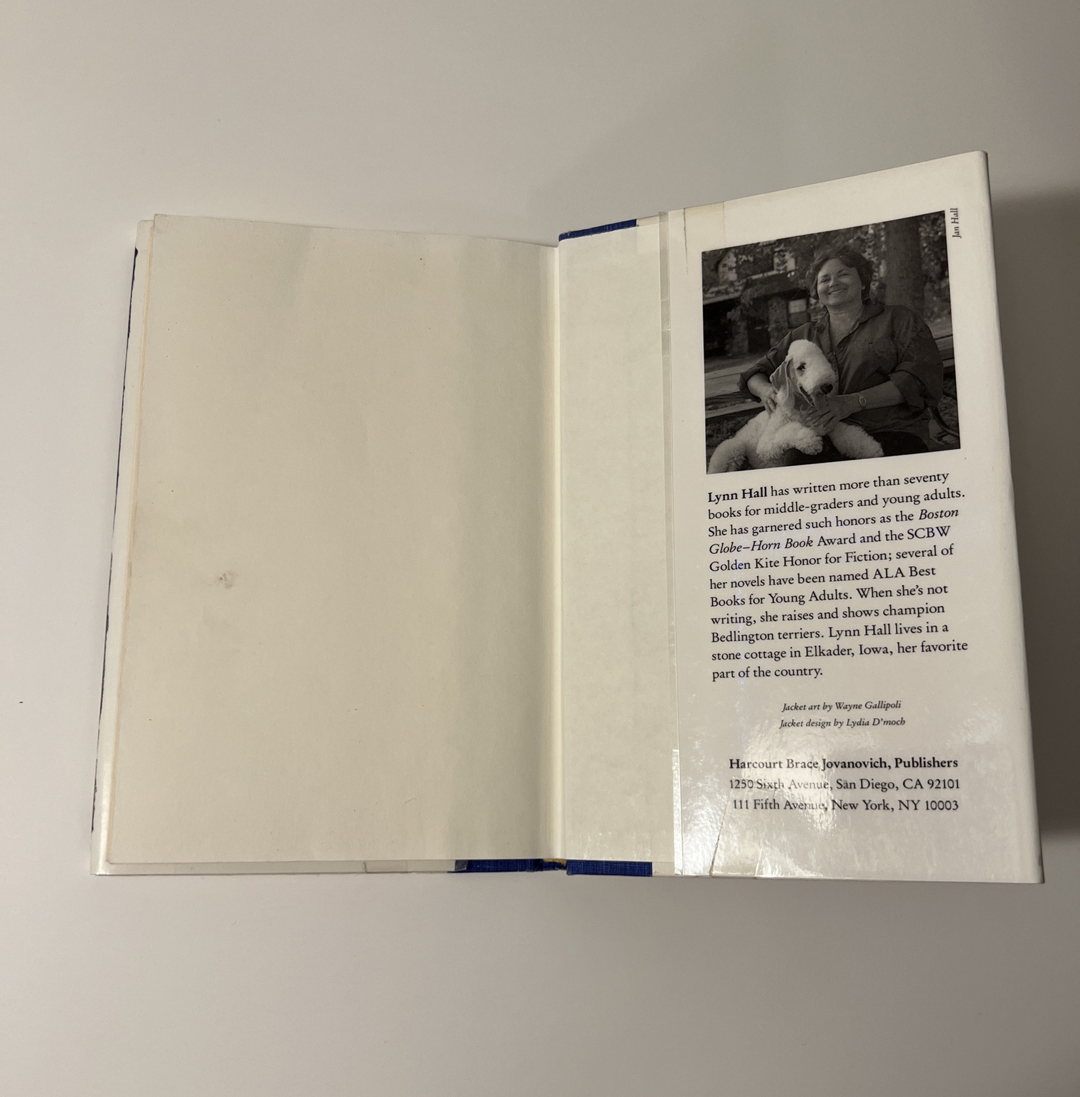 The Soul of the Silver Dog by Lynn Hall