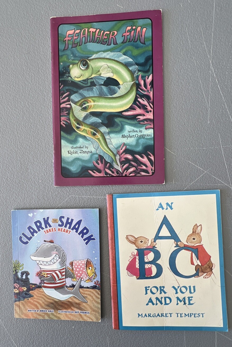 Mixed Lot of 17 Children’s Books Age 3-5 Paperback