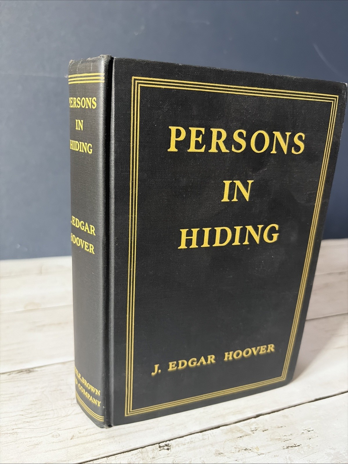 Persons In Hiding J. Edgar Hoover 1938 Little Brown True Crime Criminology Book