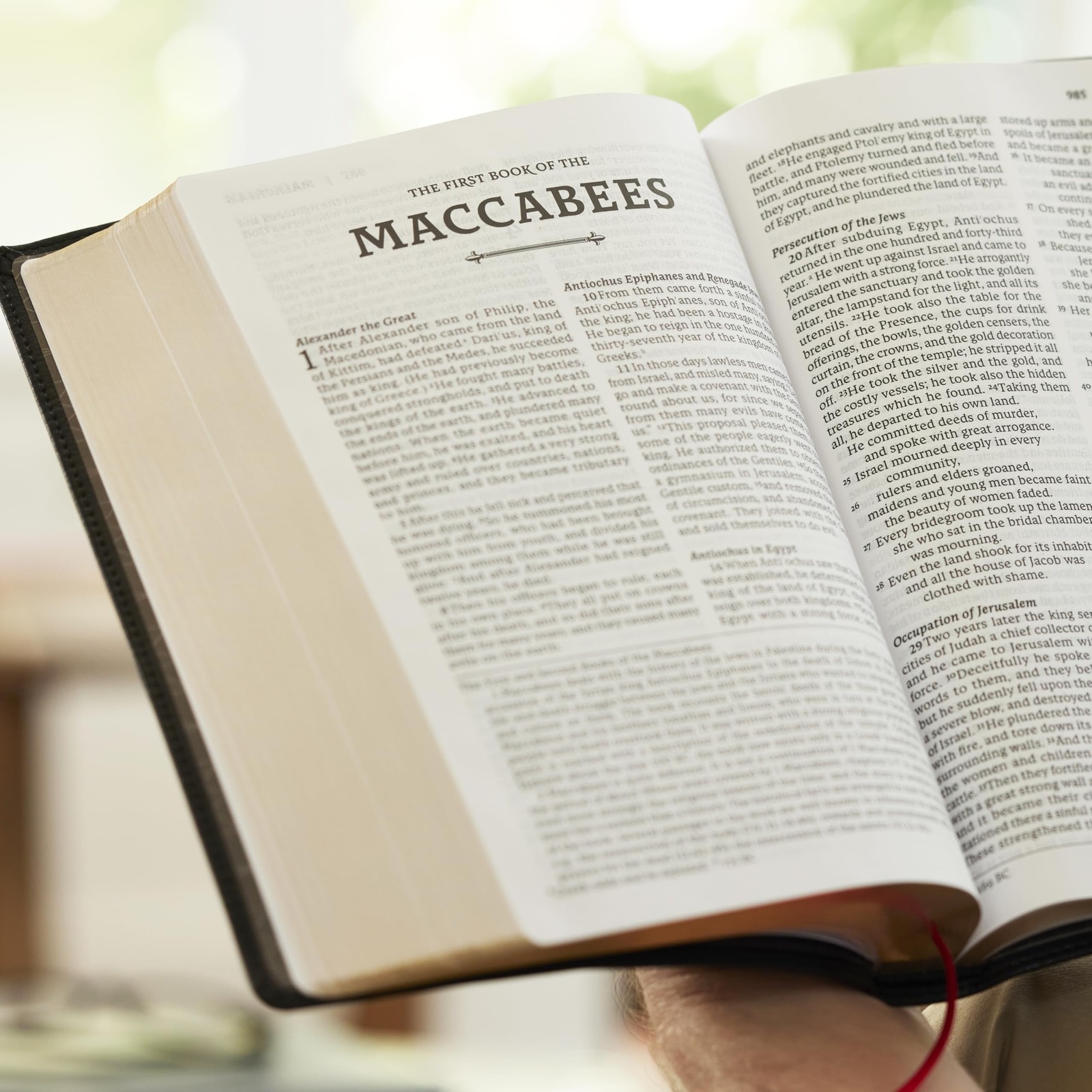 RSV2CE, Thinline Large Print Catholic Bible, Brown Leathersoft, Comfort