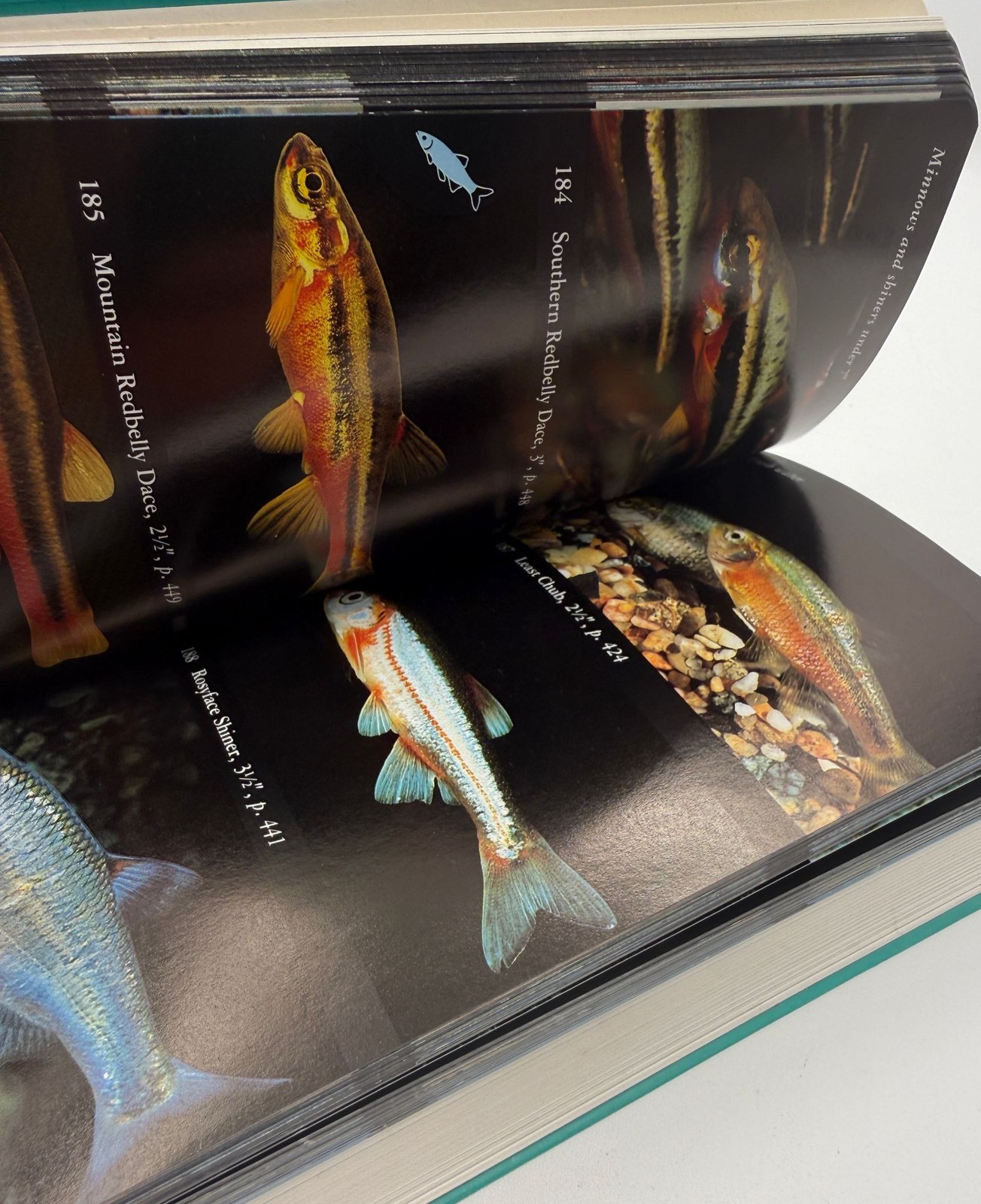 The Audubon Society Field Guide Set Fish Whales Dolphins North American Mammals