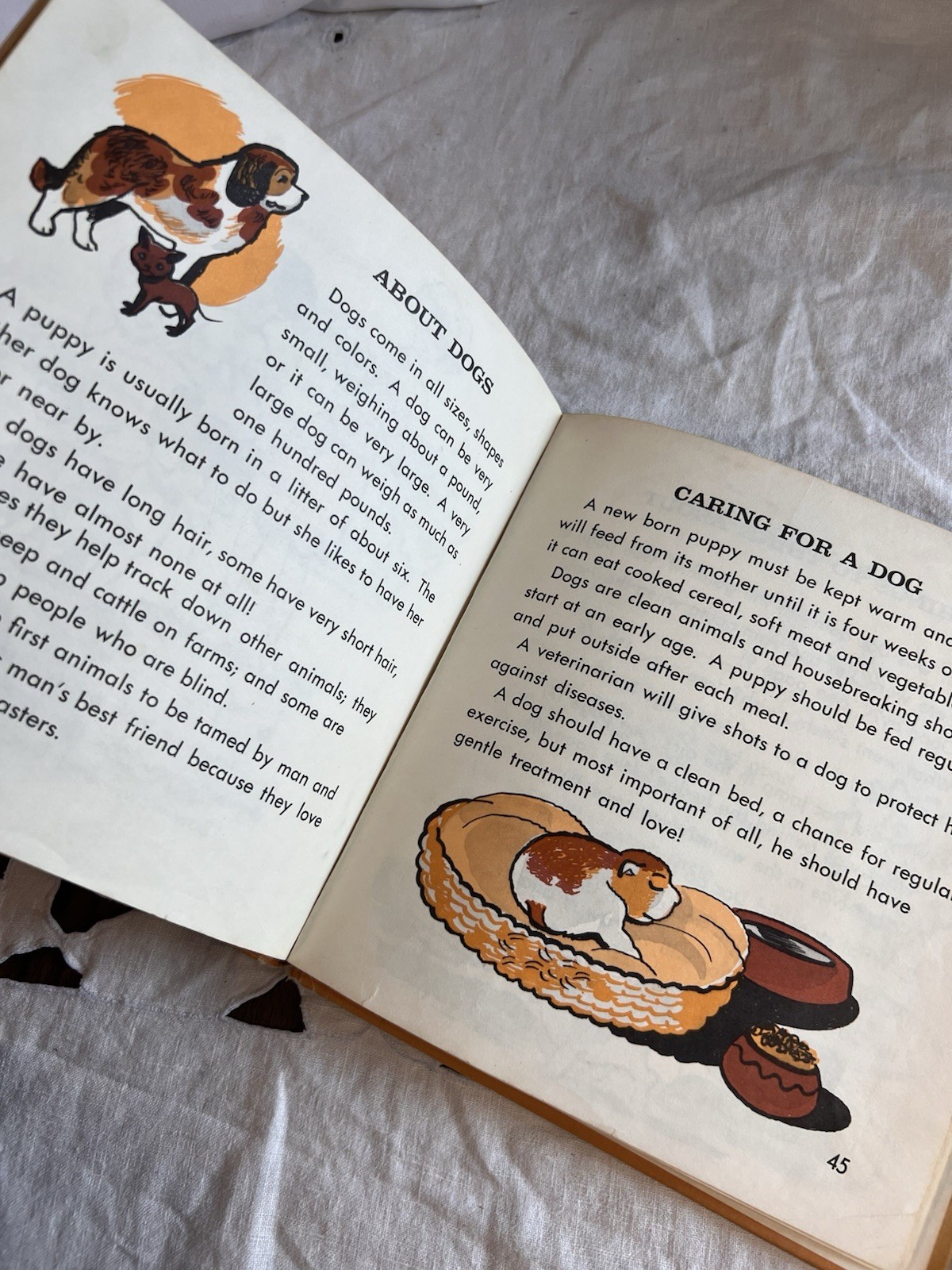 Lot of 2 Vintage 1969 & 1970 – Kate the Cat & Doc the Dog – Illustrated HC Books