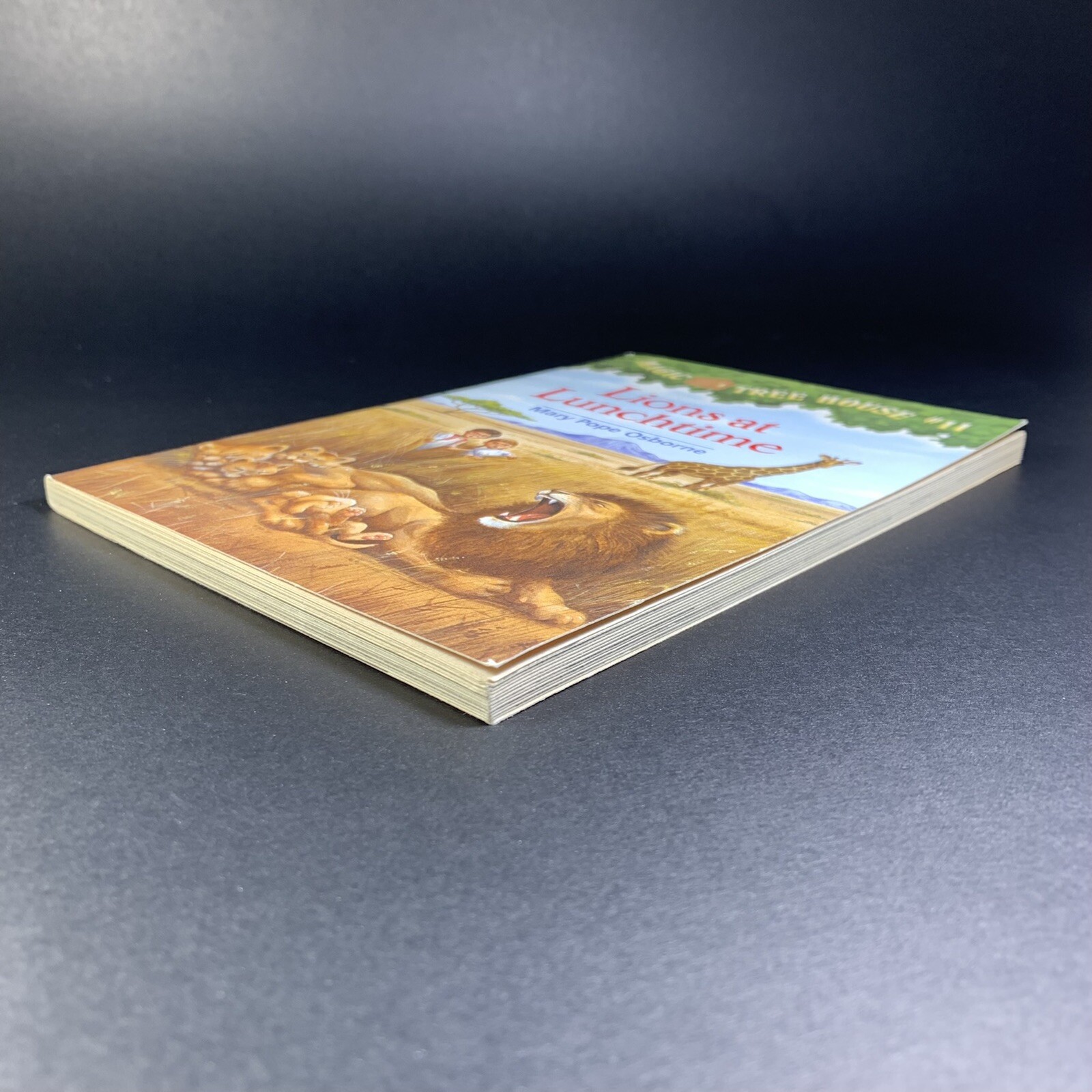 Lions At Lunchtime MAGIC TREE HOUSE #11 Mary Pope Osborne Scholastic 1998