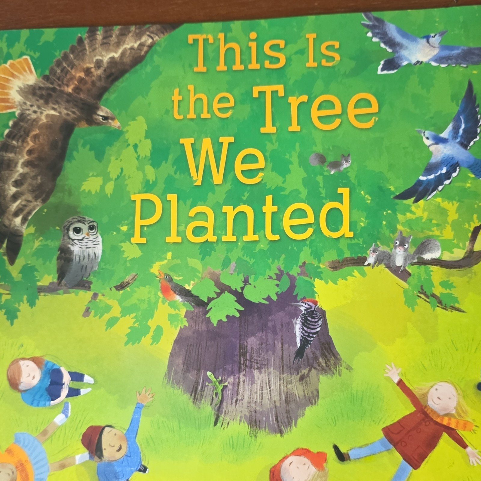 Kate McMullan This Is the Tree We Planted, Children’s Book, English Like New