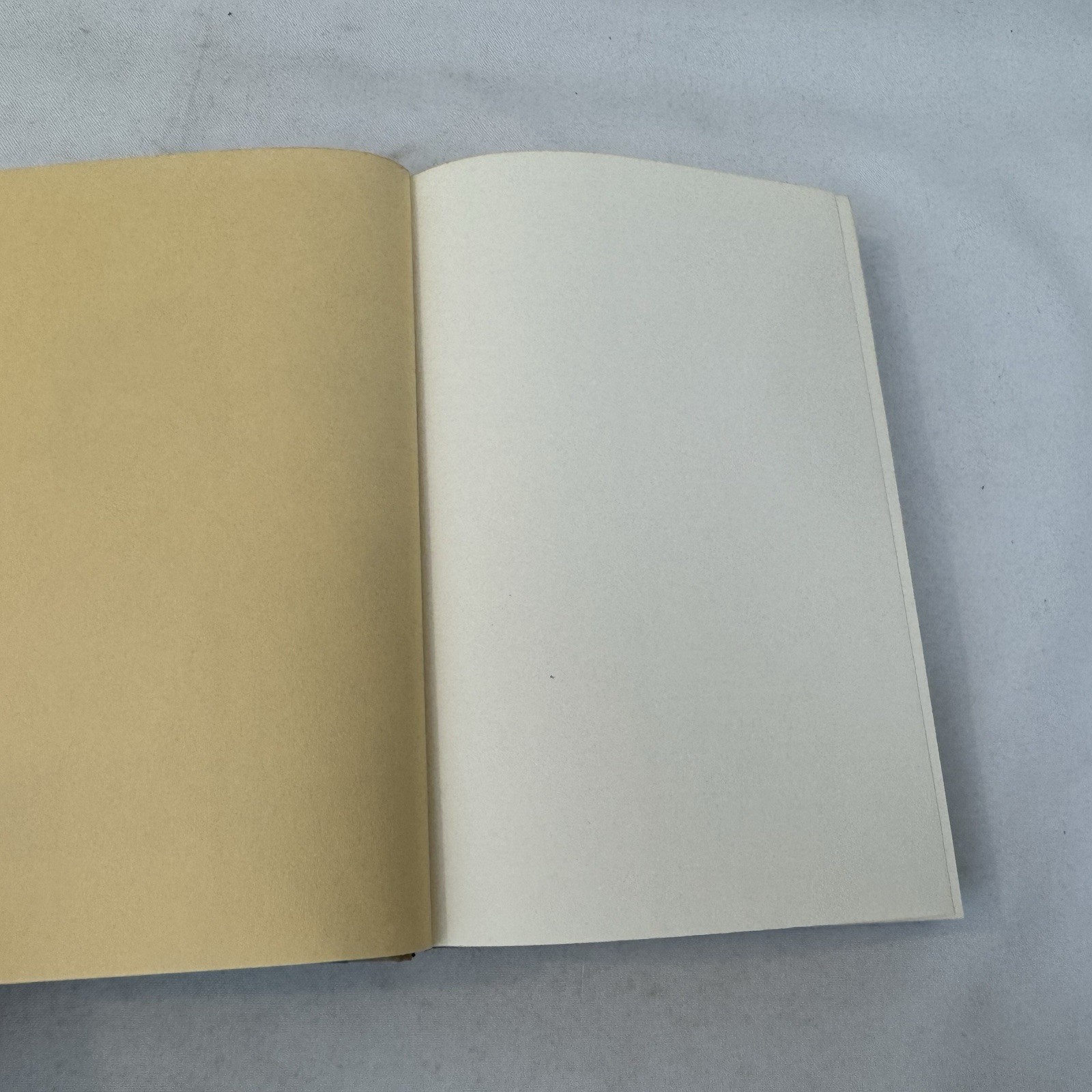 HENRY FORD AND GRASS ROOTS AMERICA REYNOLD M WIK UNIV MICHIGAN PRESS 1972 HC/DJ.