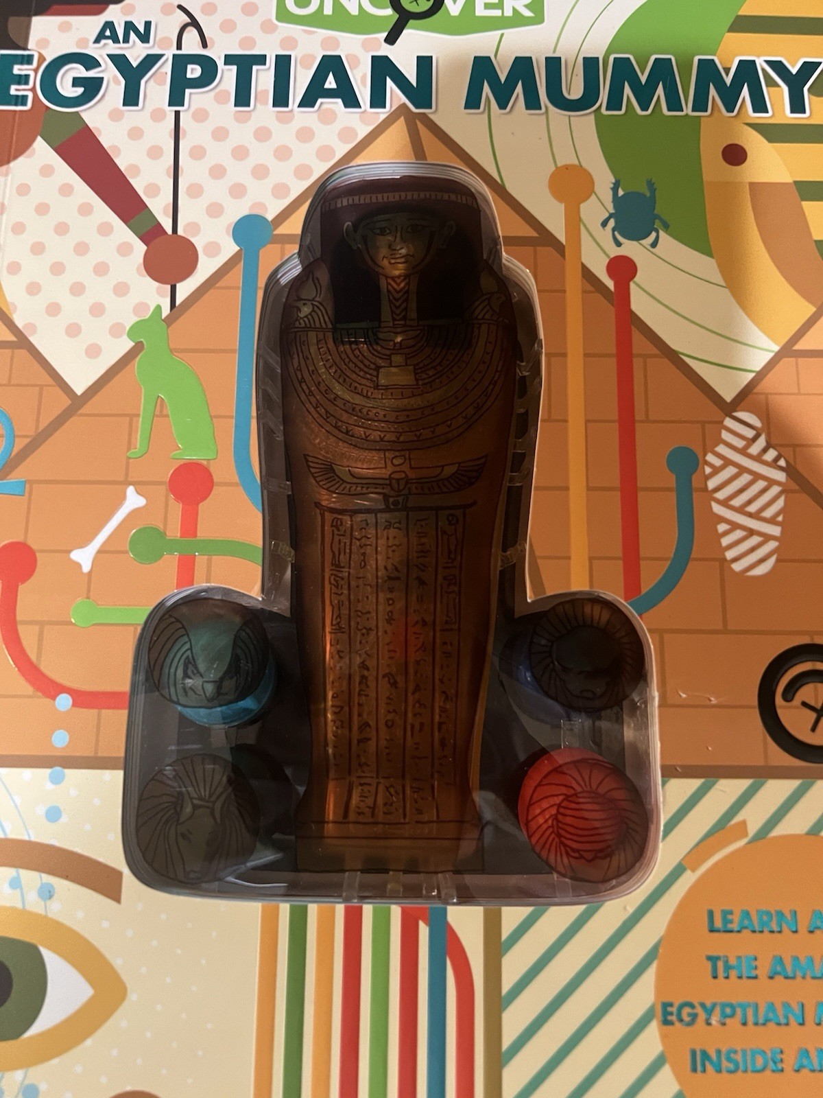 Uncover an Egyptian Mummy ,Large Book 12”