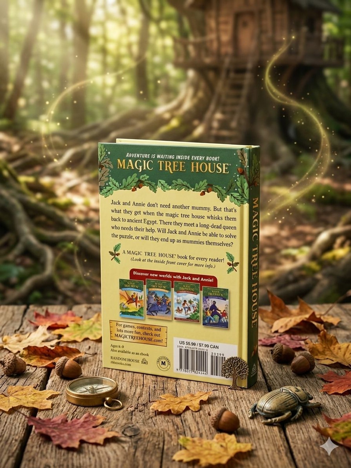 Magic Tree House Books 1-4 Box Set Mary Pope Osborne Adventure Chapter Books