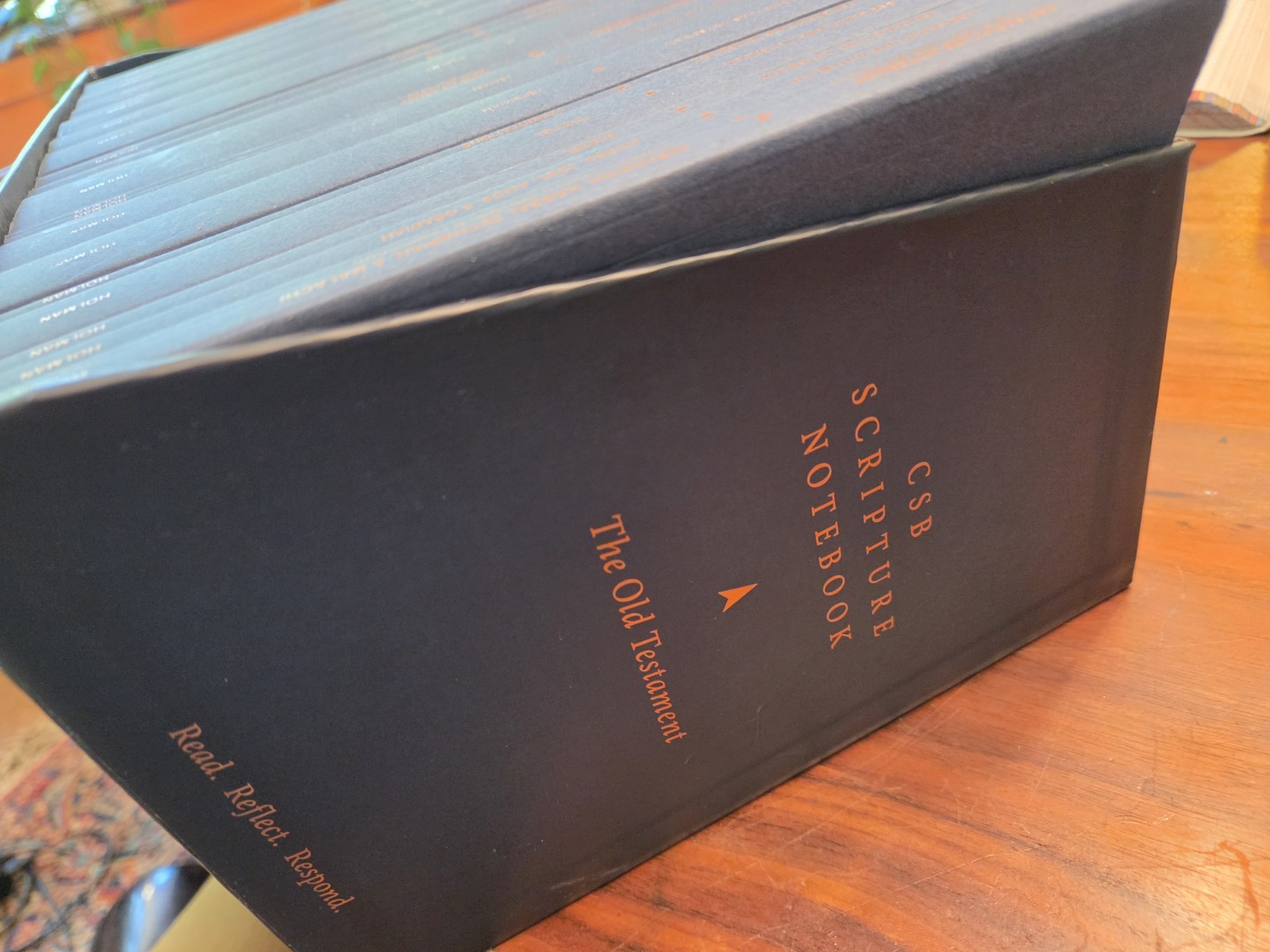 CSB Scripture Notebook Old Testament Set Read Reflect Respond Holman Bible