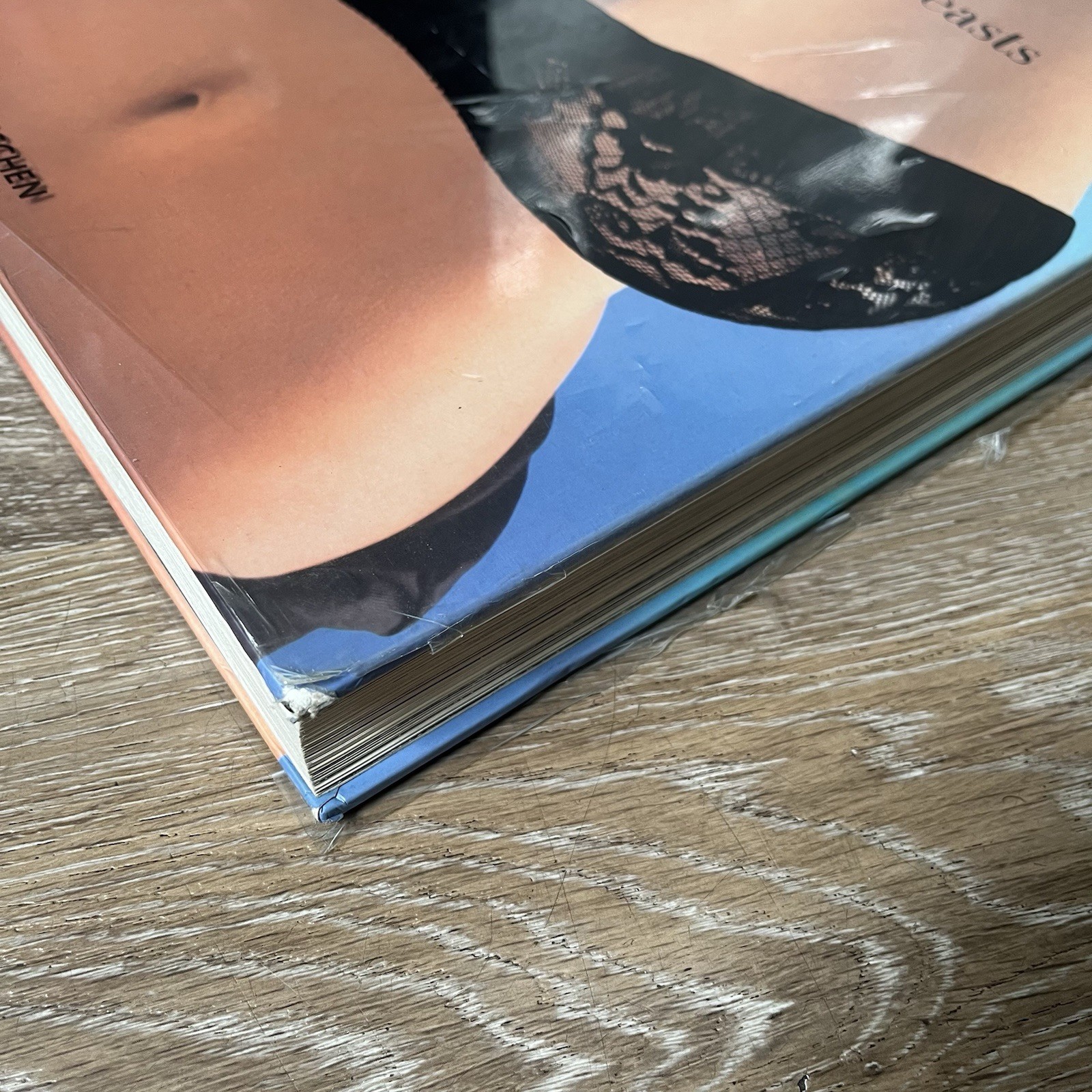 Big Book of Breasts by Dian Hanson (2006, Hardcover)