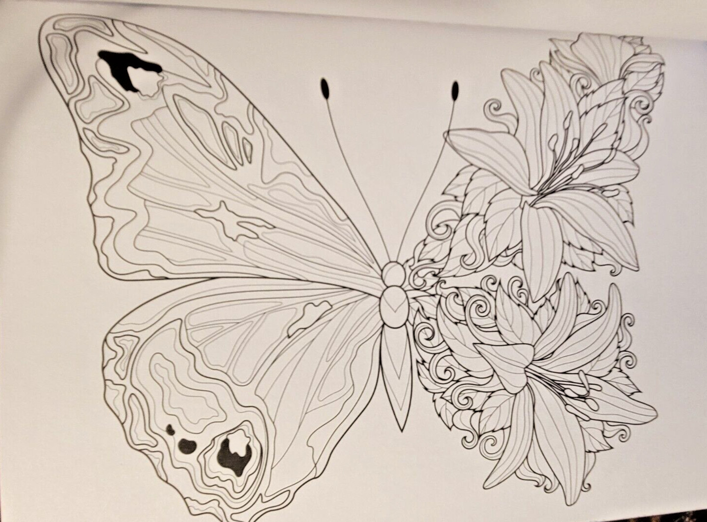 COLORS OF THE WILD Vol. 20 Adult Coloring Book With 47 Prints Ready To Frame!