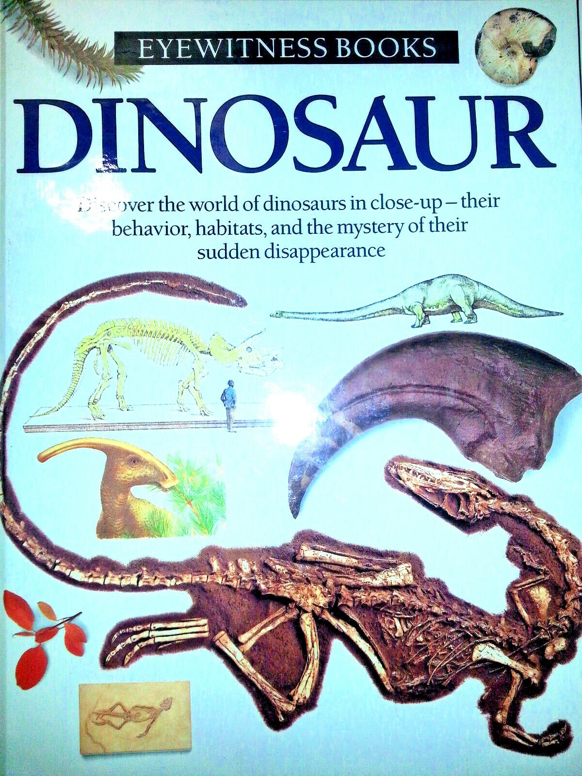 DINOSAUR EYEWITNESS BOOK HARDCOVER Homeschool BEHAVIOR HABITAT DISAPPEARANCE New