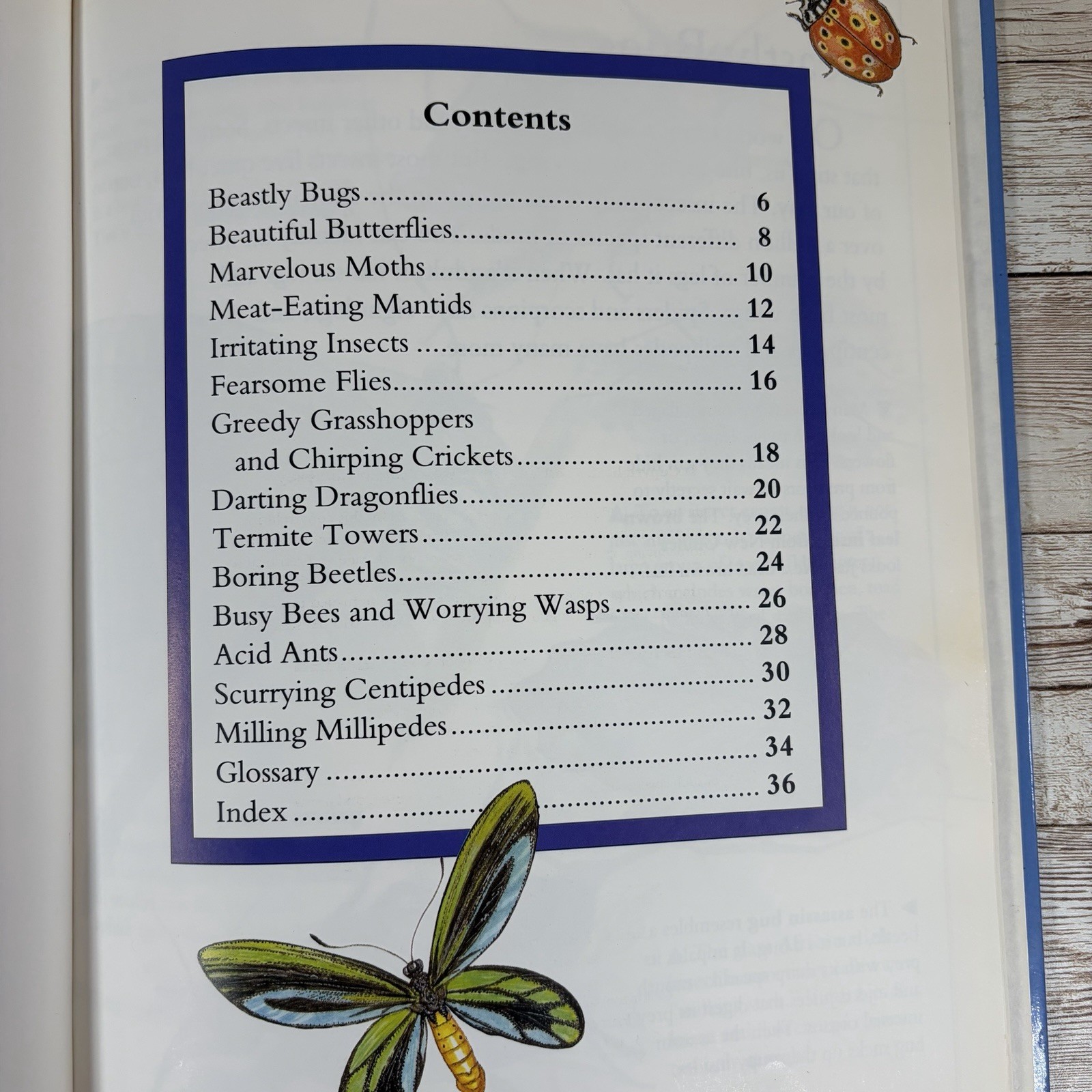 Beastly Bugs Steve Parker 1993 Library Binding Ex-Library Hardcover Creepy Creat