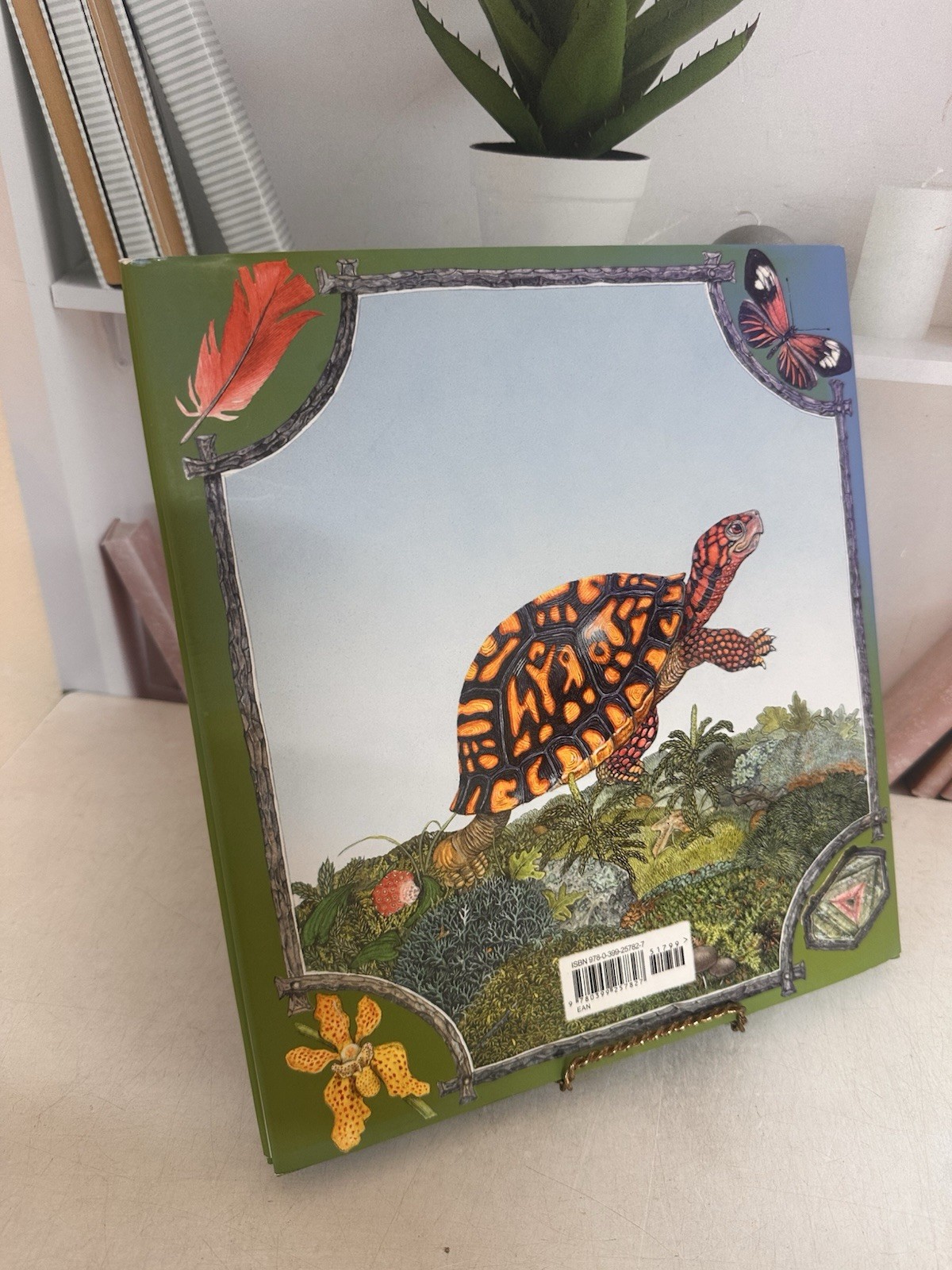 Mossy by Jan Brett Hardcover Book 2012