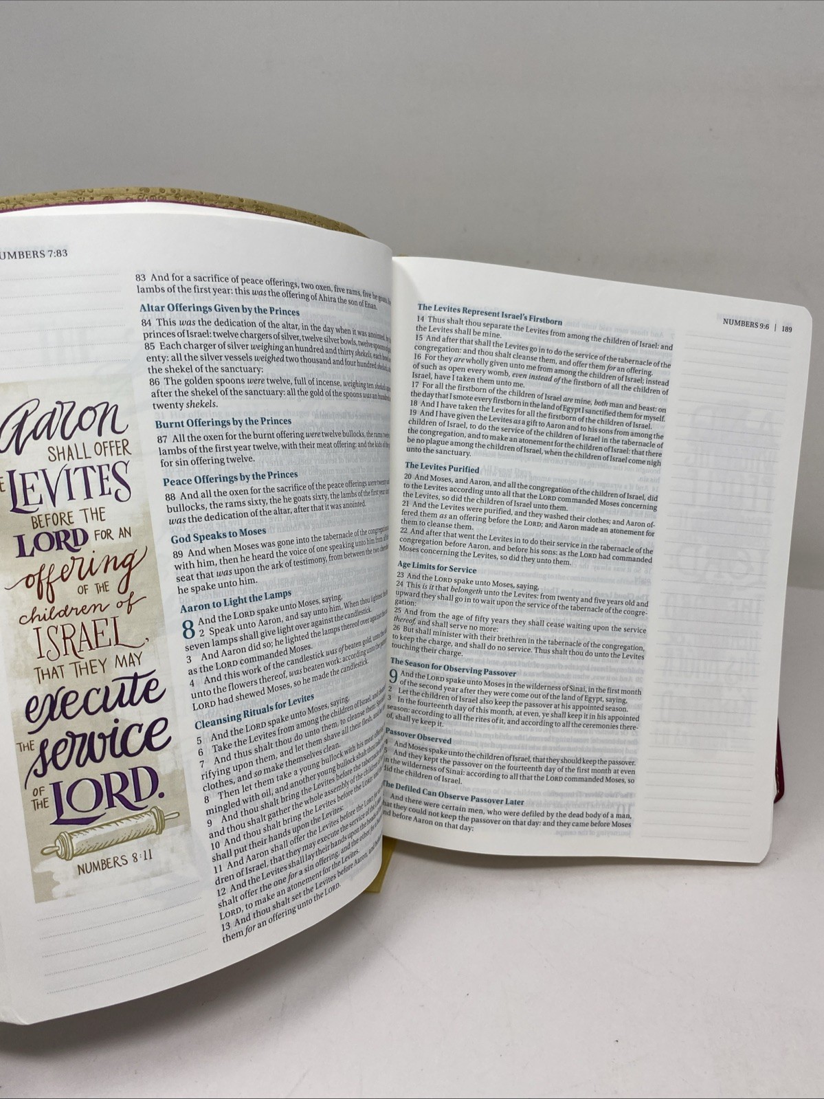 KJV Beautiful Word Bible Italian Duo-tone Tan Pink (Journaling Note Wide Margin)